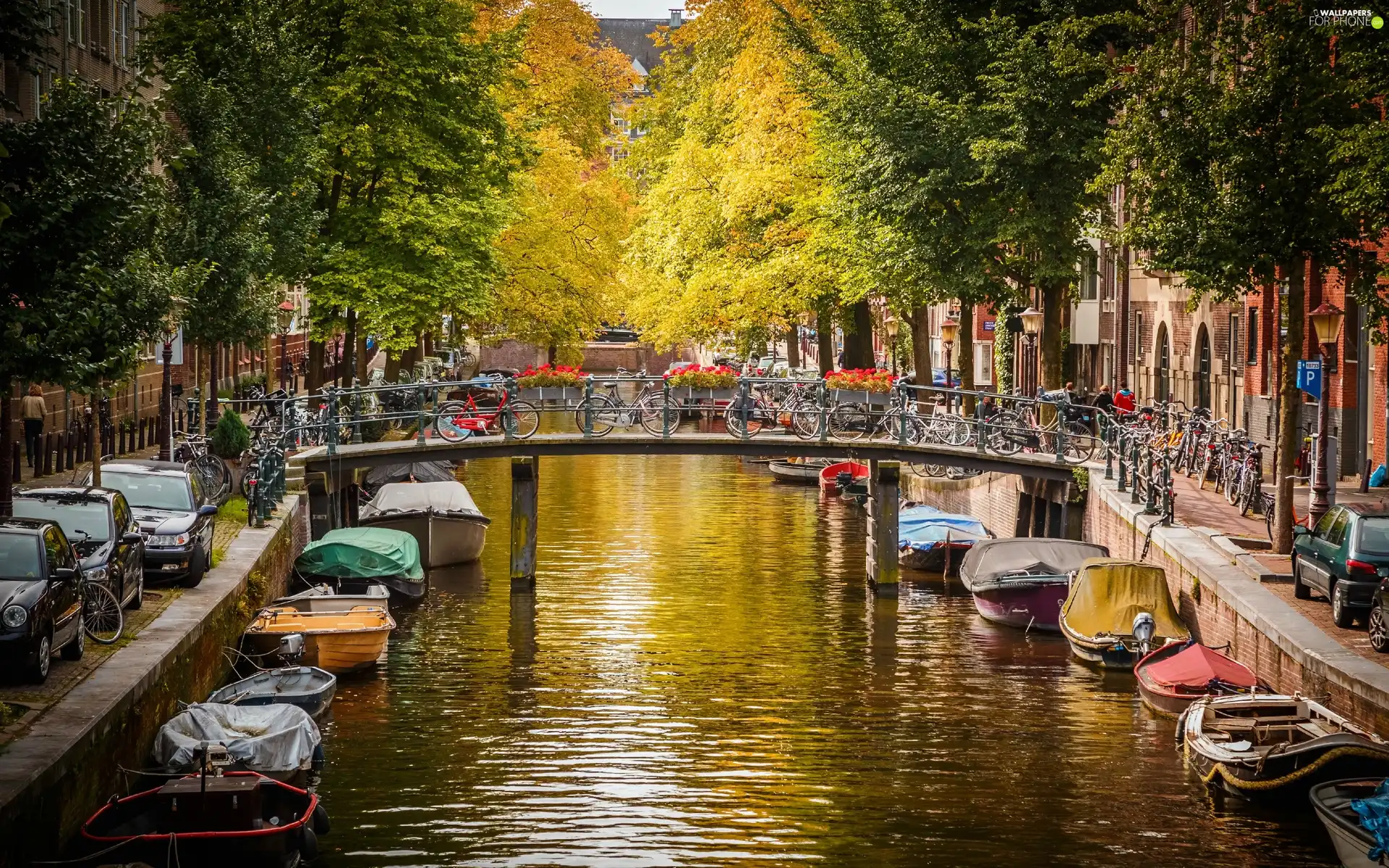 canal, Netherlands, bridge, autumn, Boats, Amsterdam - For phone