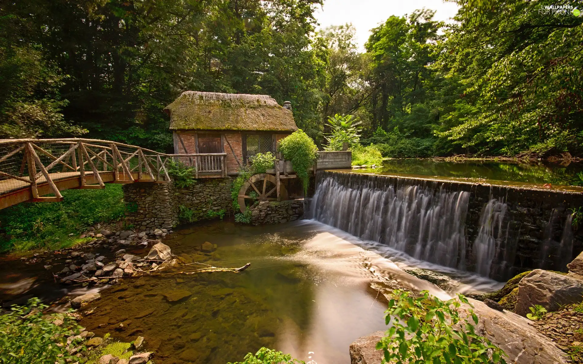 bridge, forest, Windmill, water, River