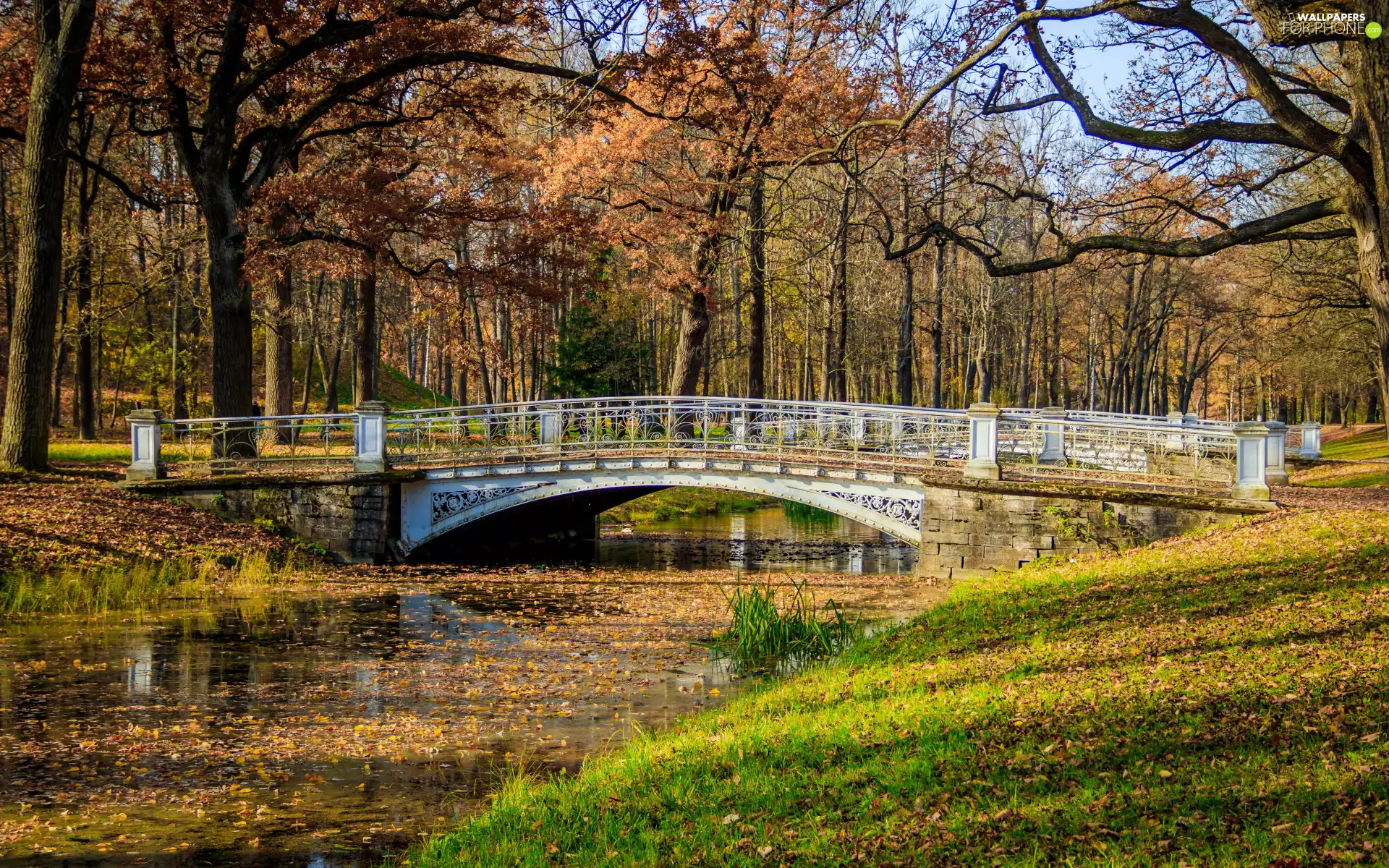 Park, River, viewes, bridges, autumn, trees, grass