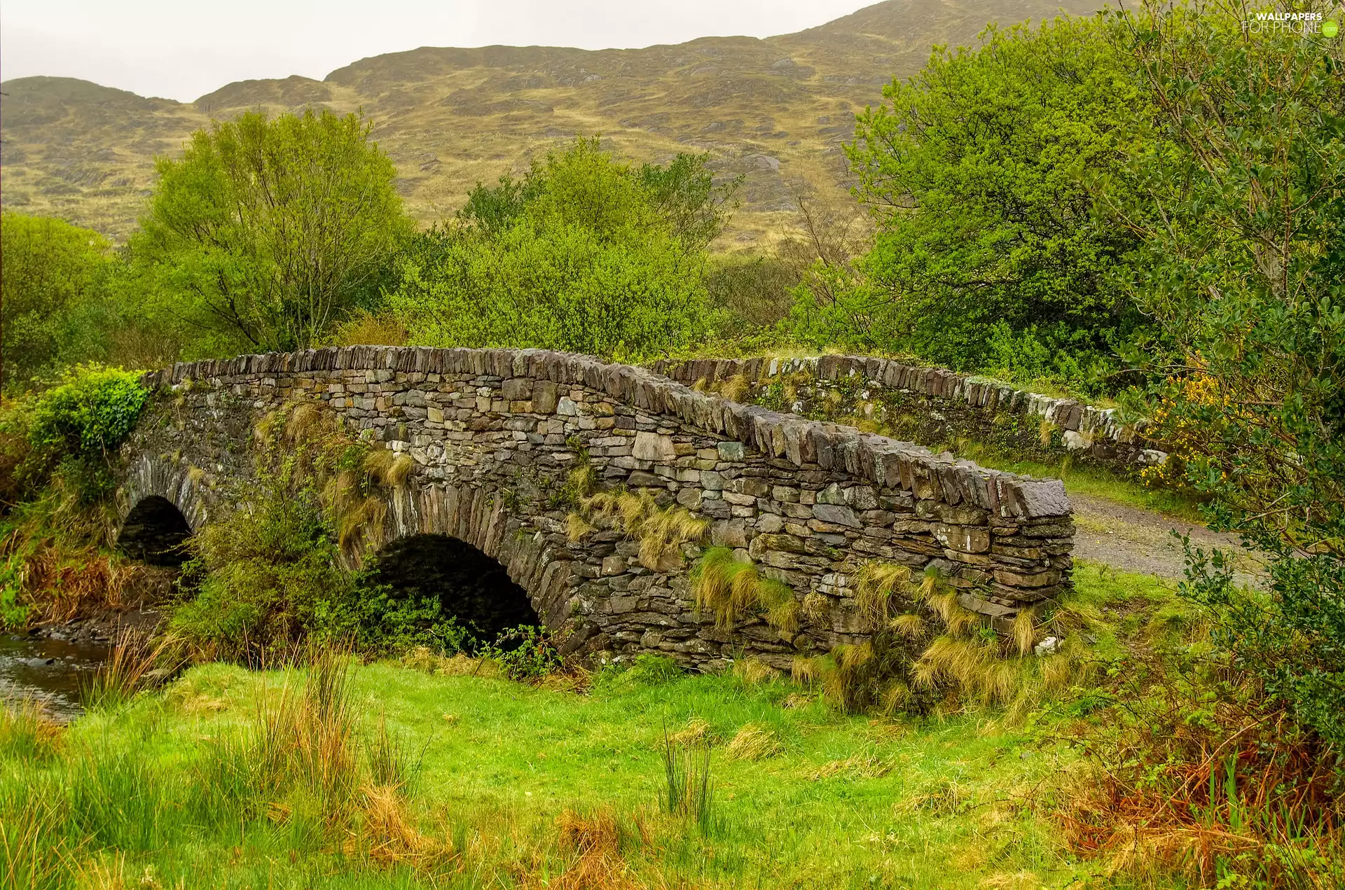 Bush, trees, stone, bridges, grass, viewes