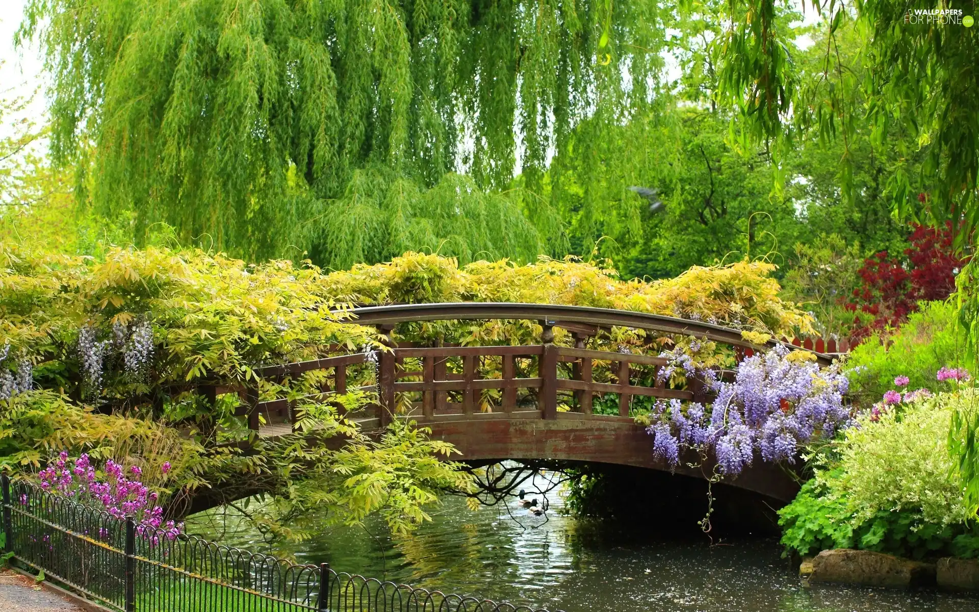 brook, Garden, bridges