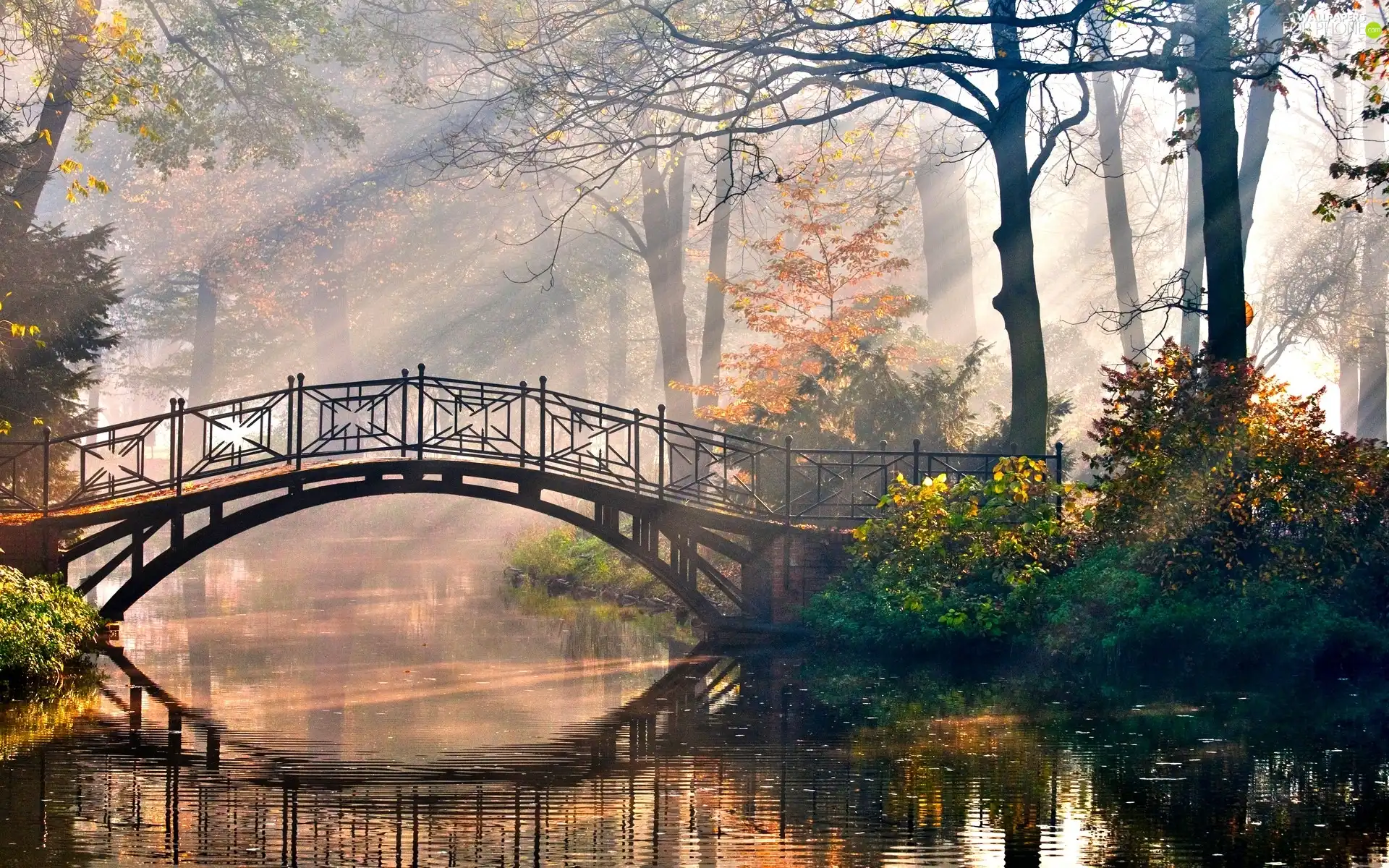 bridges, trees, rays, viewes, Park, brook, sunny