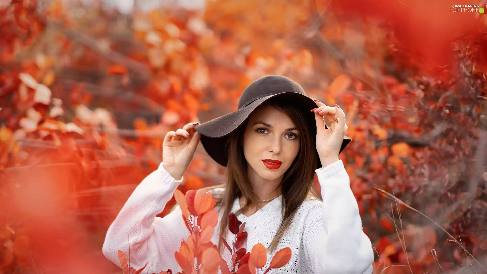 Red, Leaf, light brown, Hat, Women