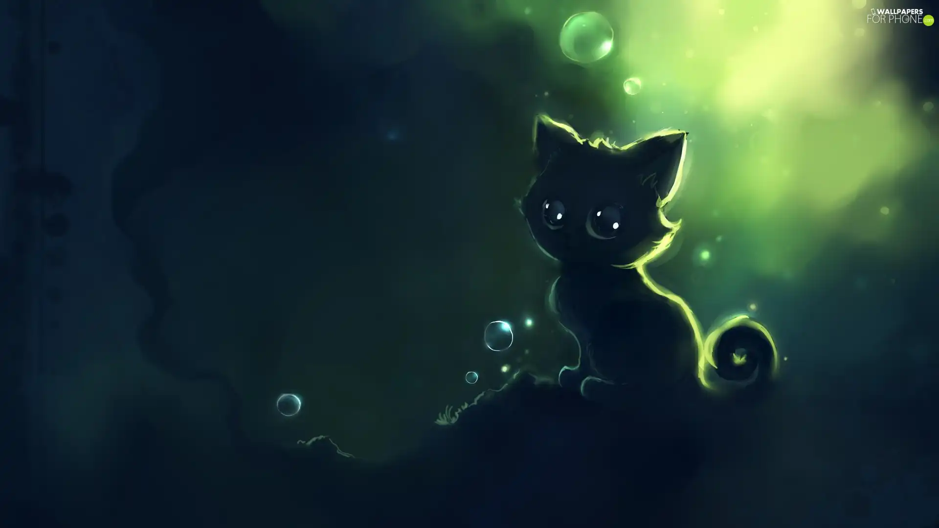 kitten, bubbles