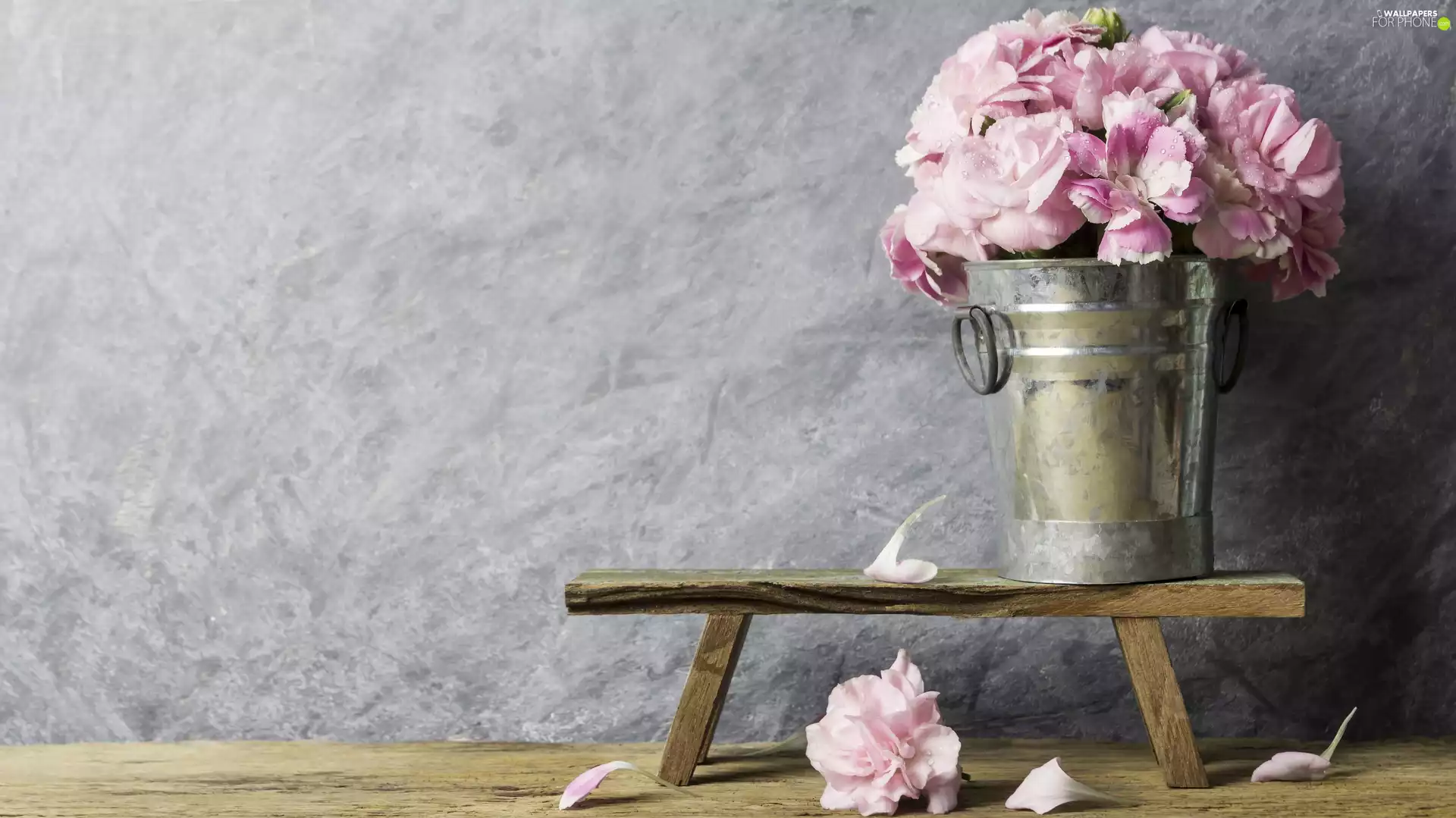 Flowers, Bucket, Bench, Clove Pink