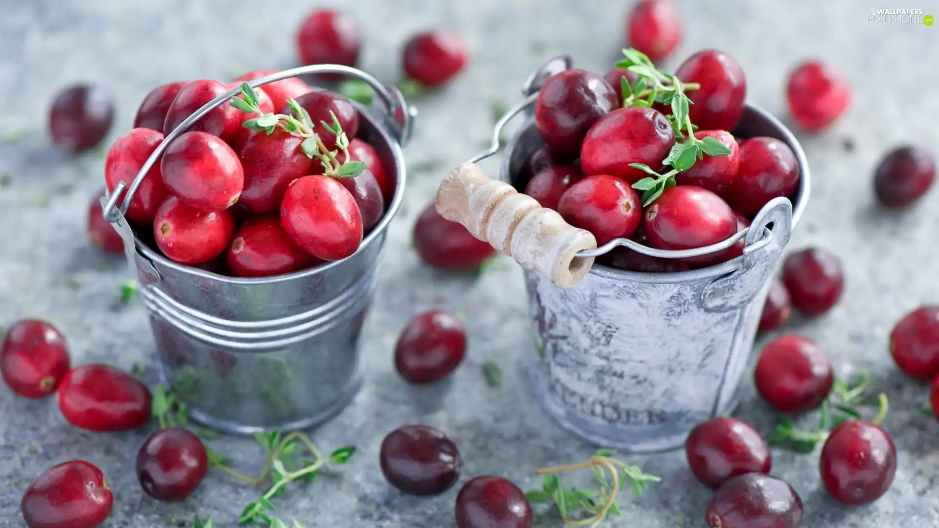 Buckets, cranberry, Tin