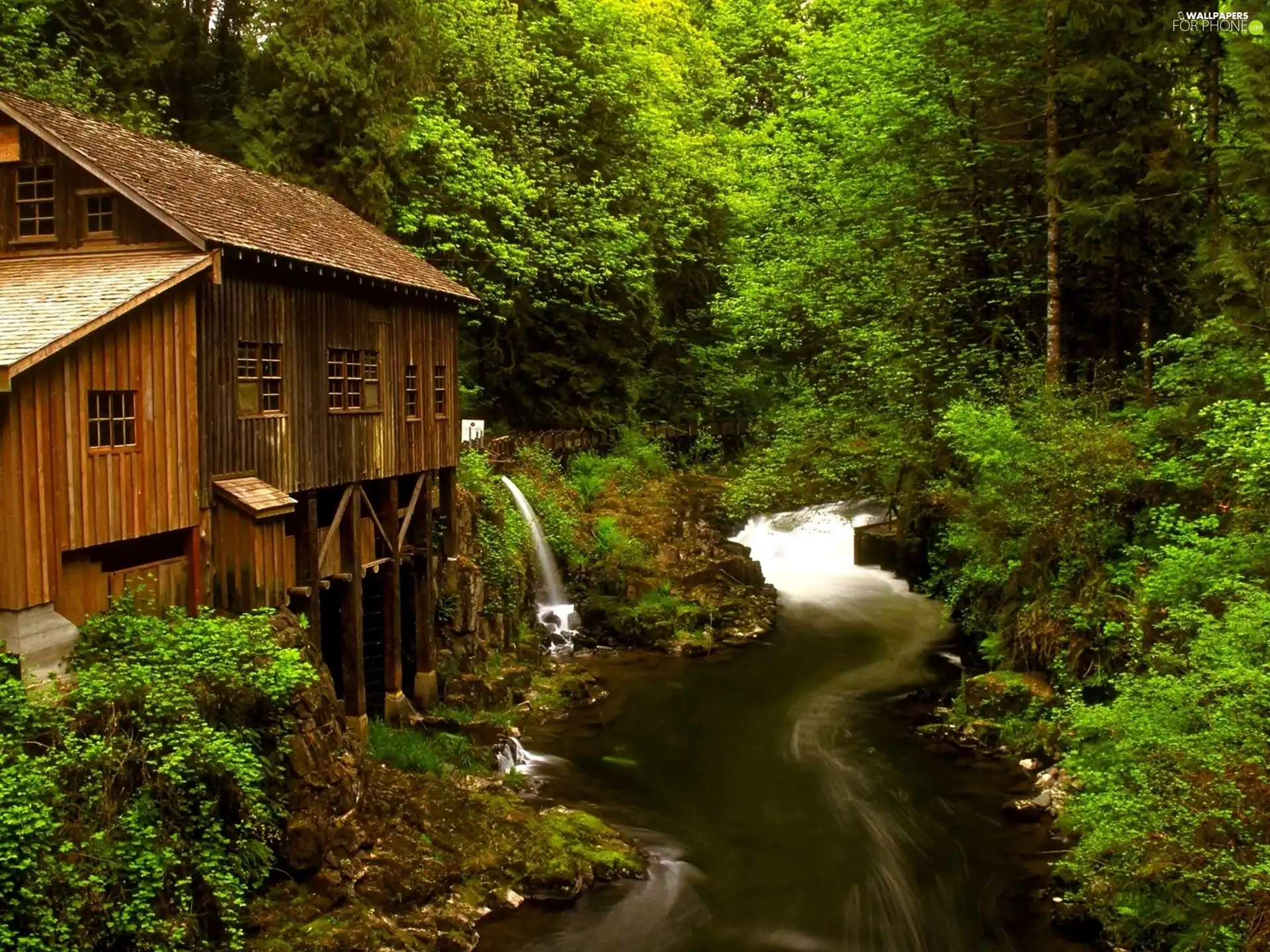 buildings, cote, forest, River, summer