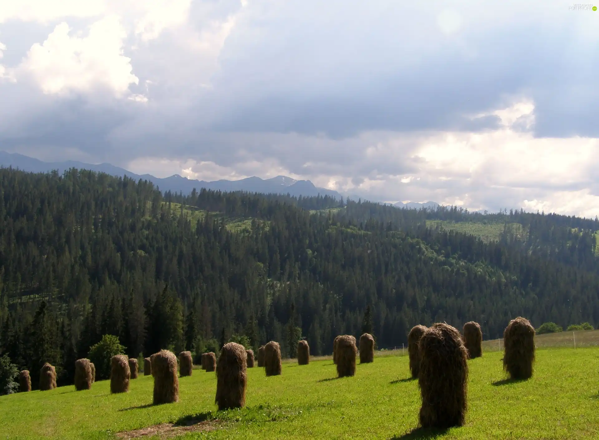 Bukovina Tatra