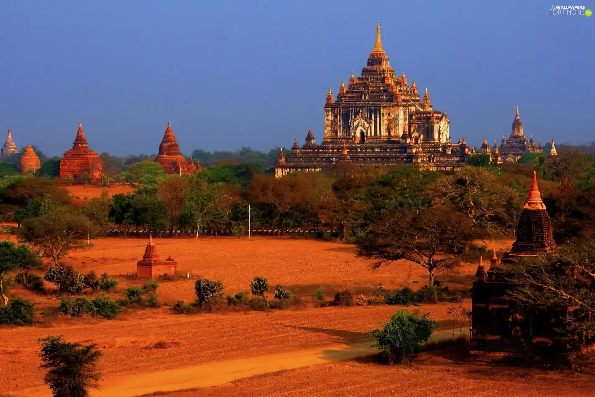 trees, structures, Burma, viewes