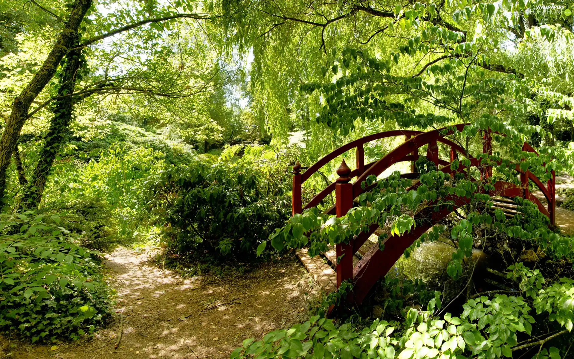 Bush, bridges, trees, viewes, Park