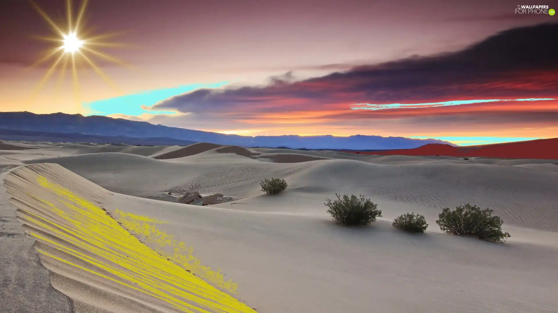 Desert, sun, Bush, clouds