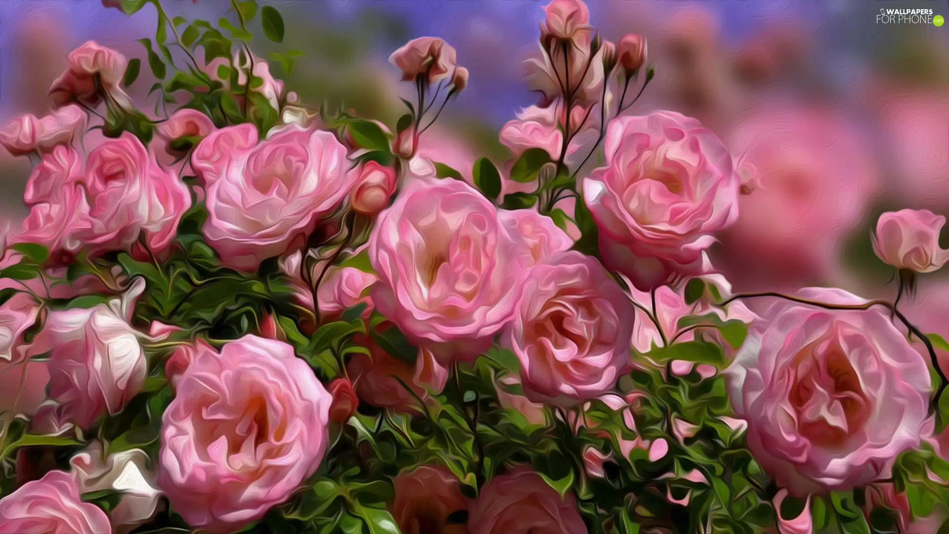 Bush, Flowers, roses