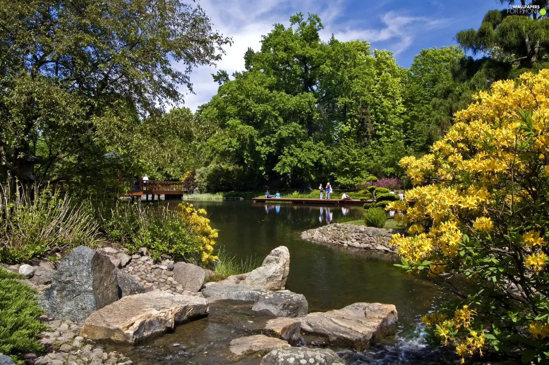 Bush, Spring, trees, viewes, Park