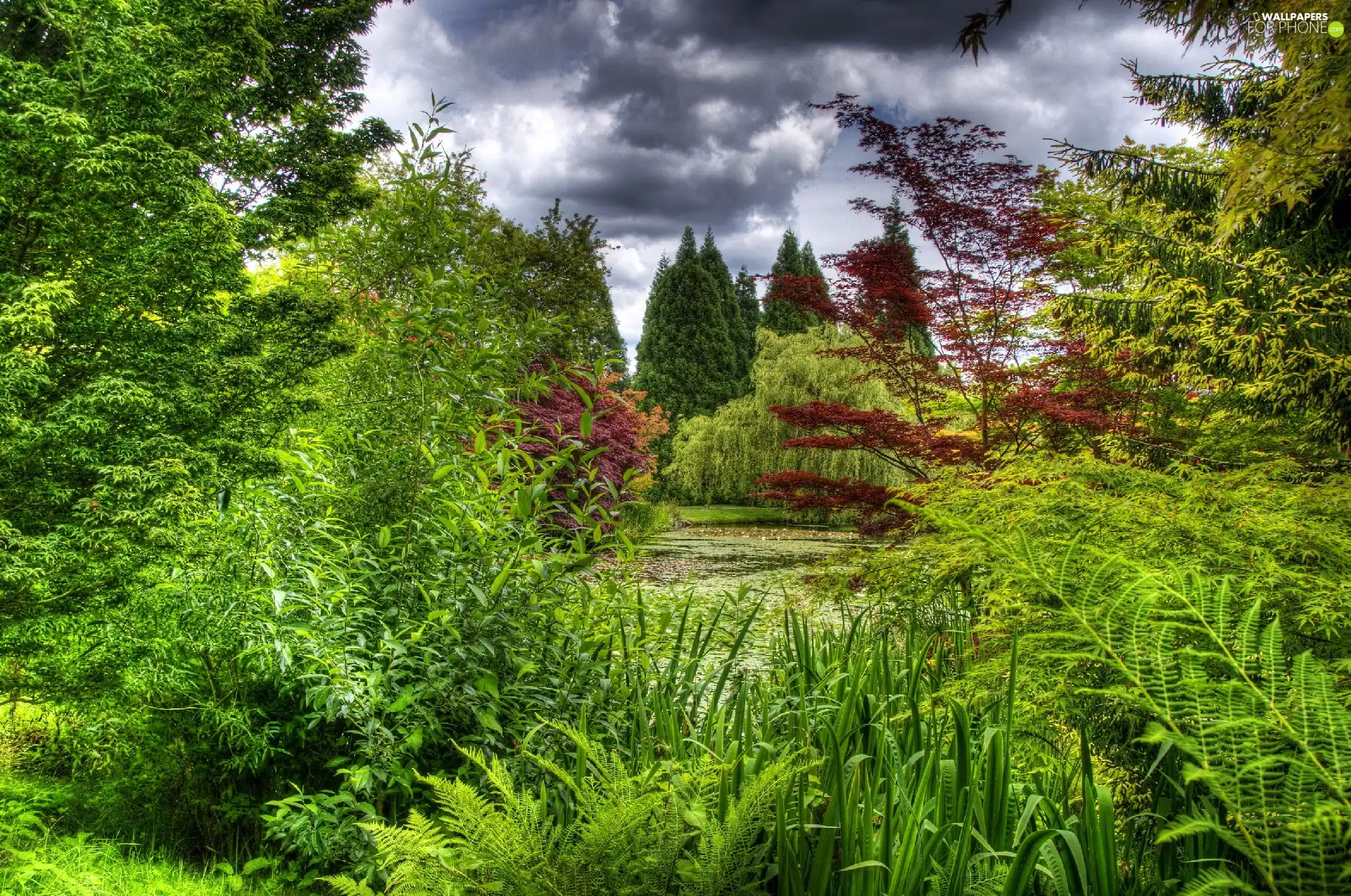 Bush, trees, viewes