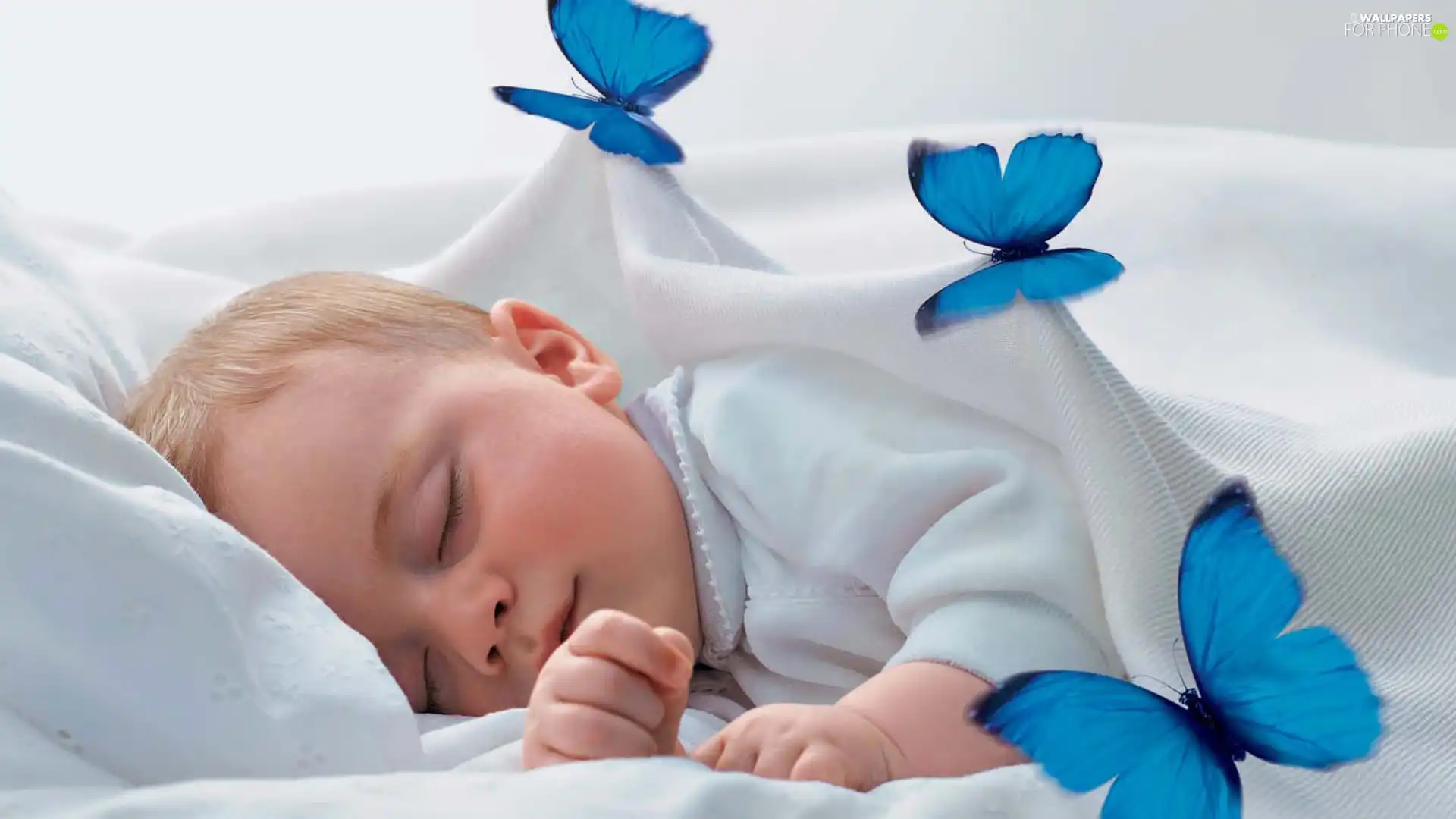 Sleeping, Blanket, butterflies, Kid