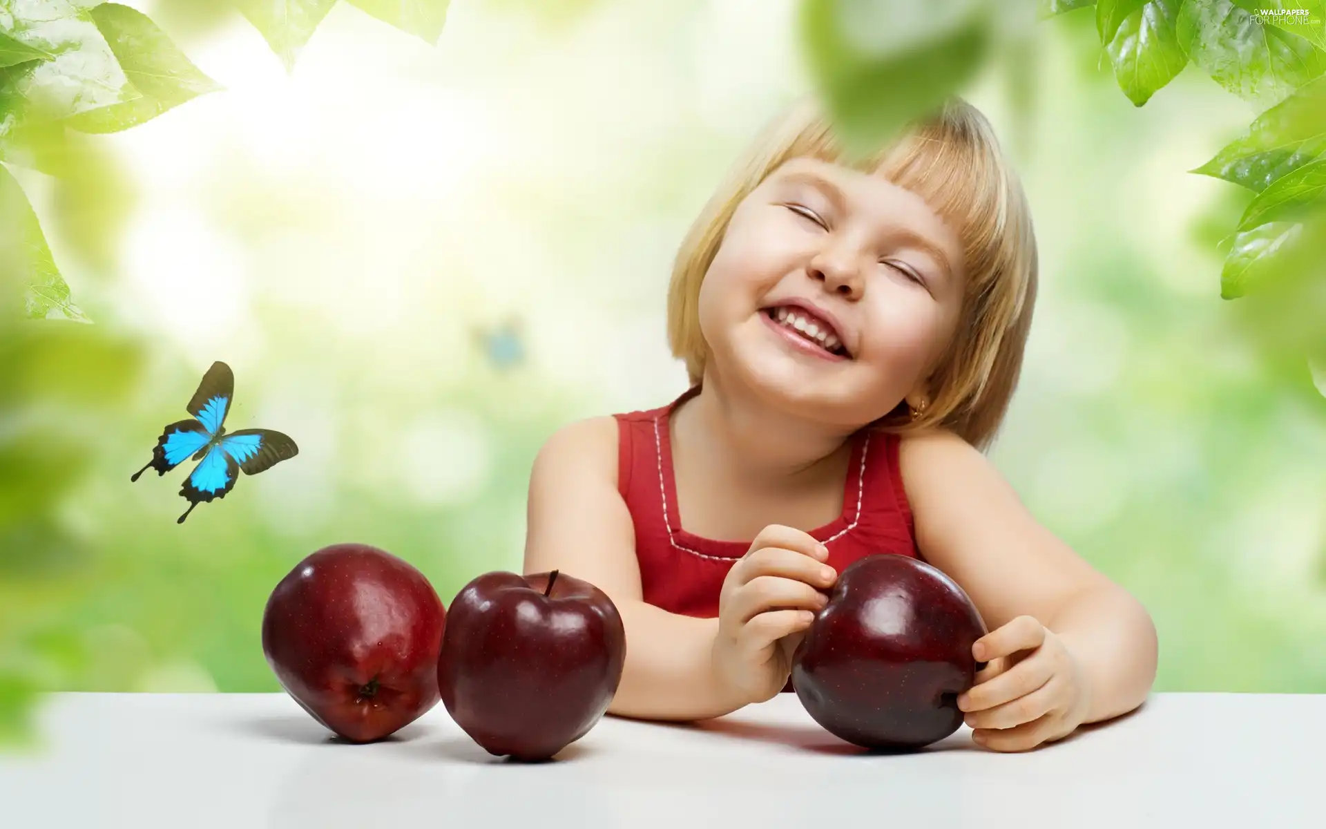 butterfly, girl, apples