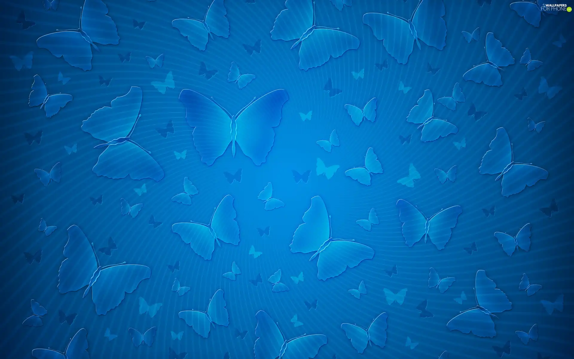 Blue, butterfly