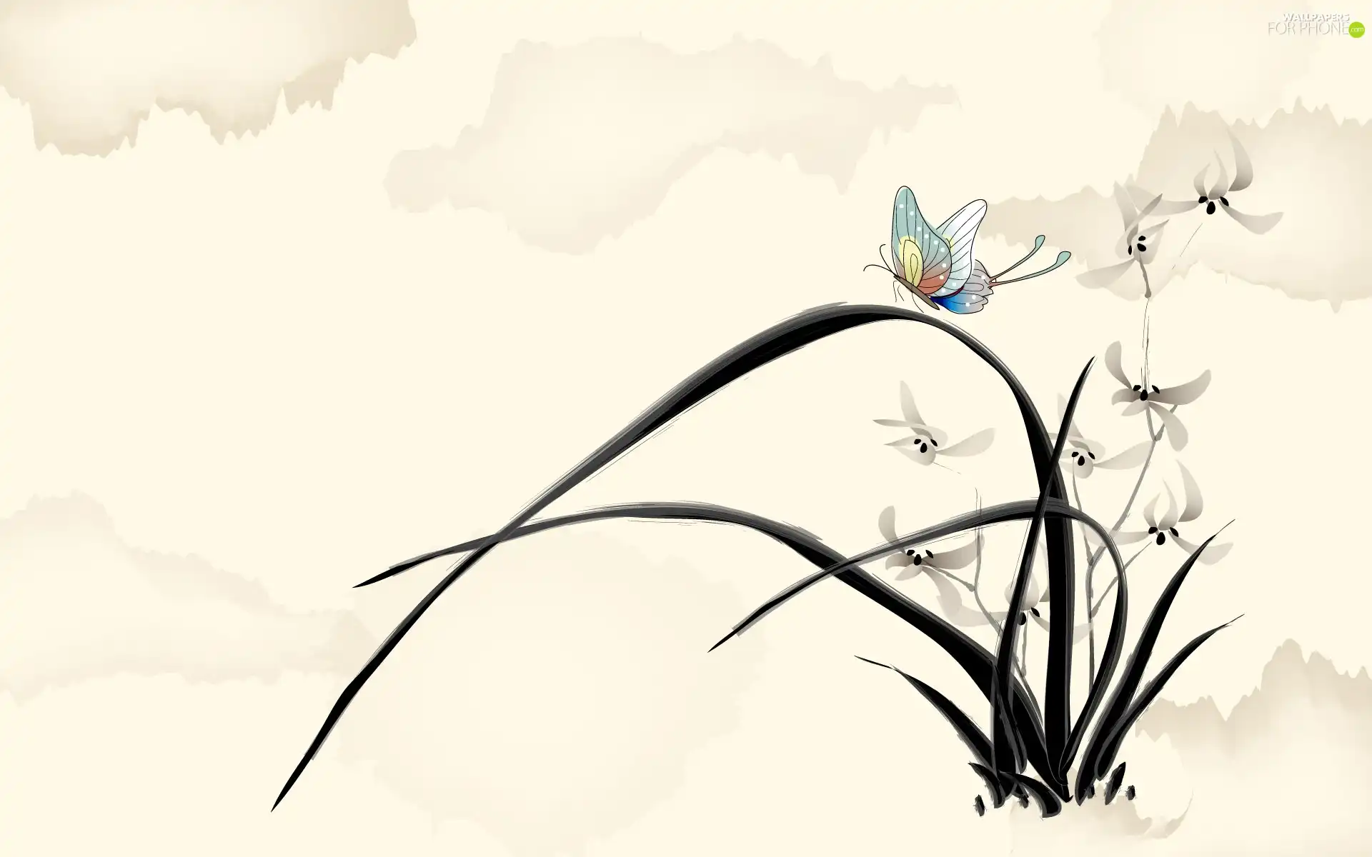 butterfly, subtle, Flowers