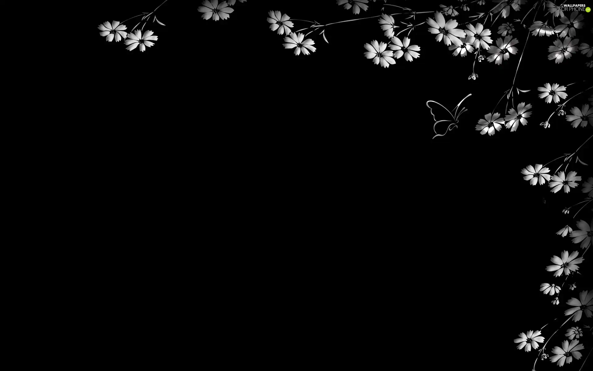 flowers, butterfly