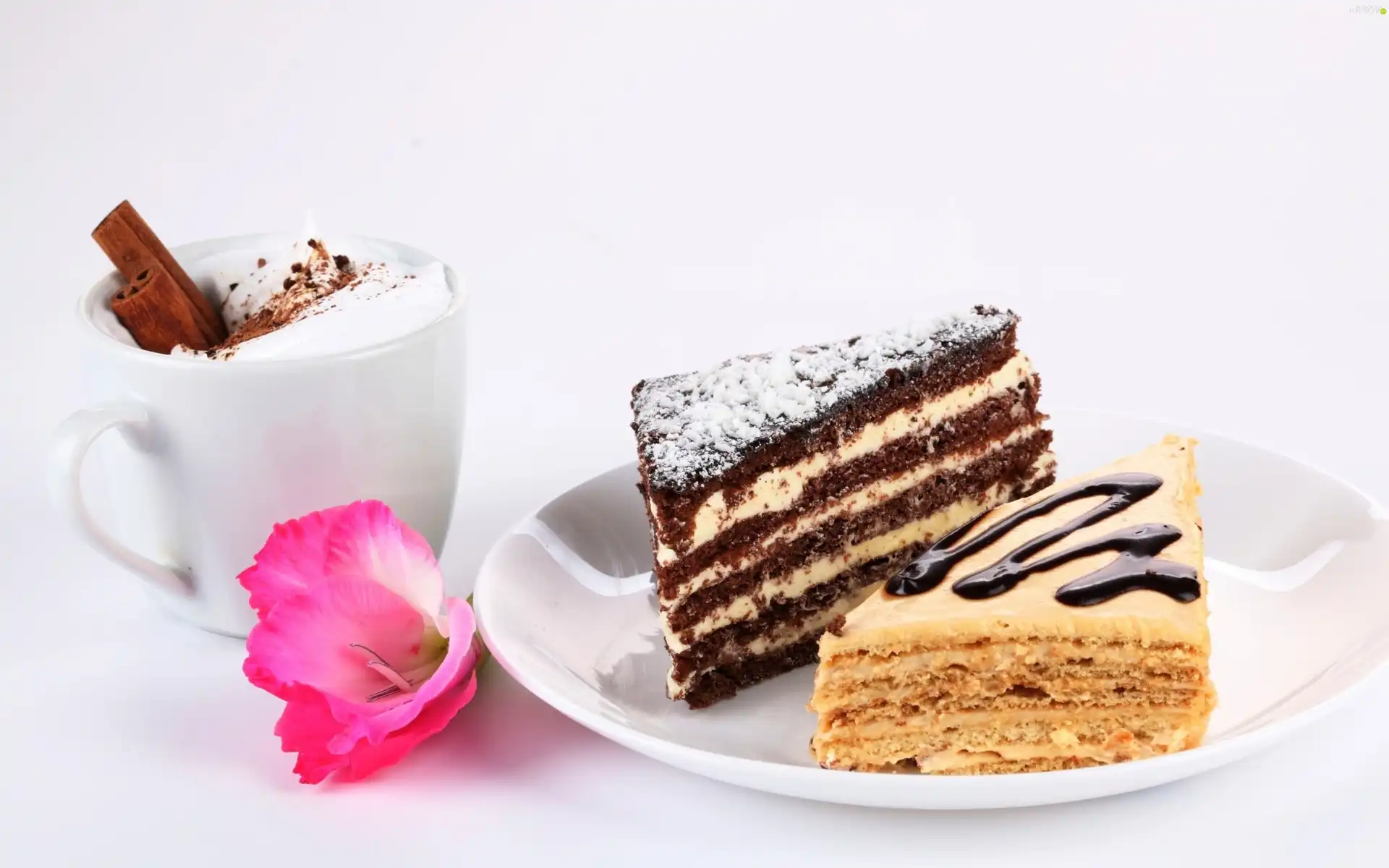 Cake, coffee, cuts