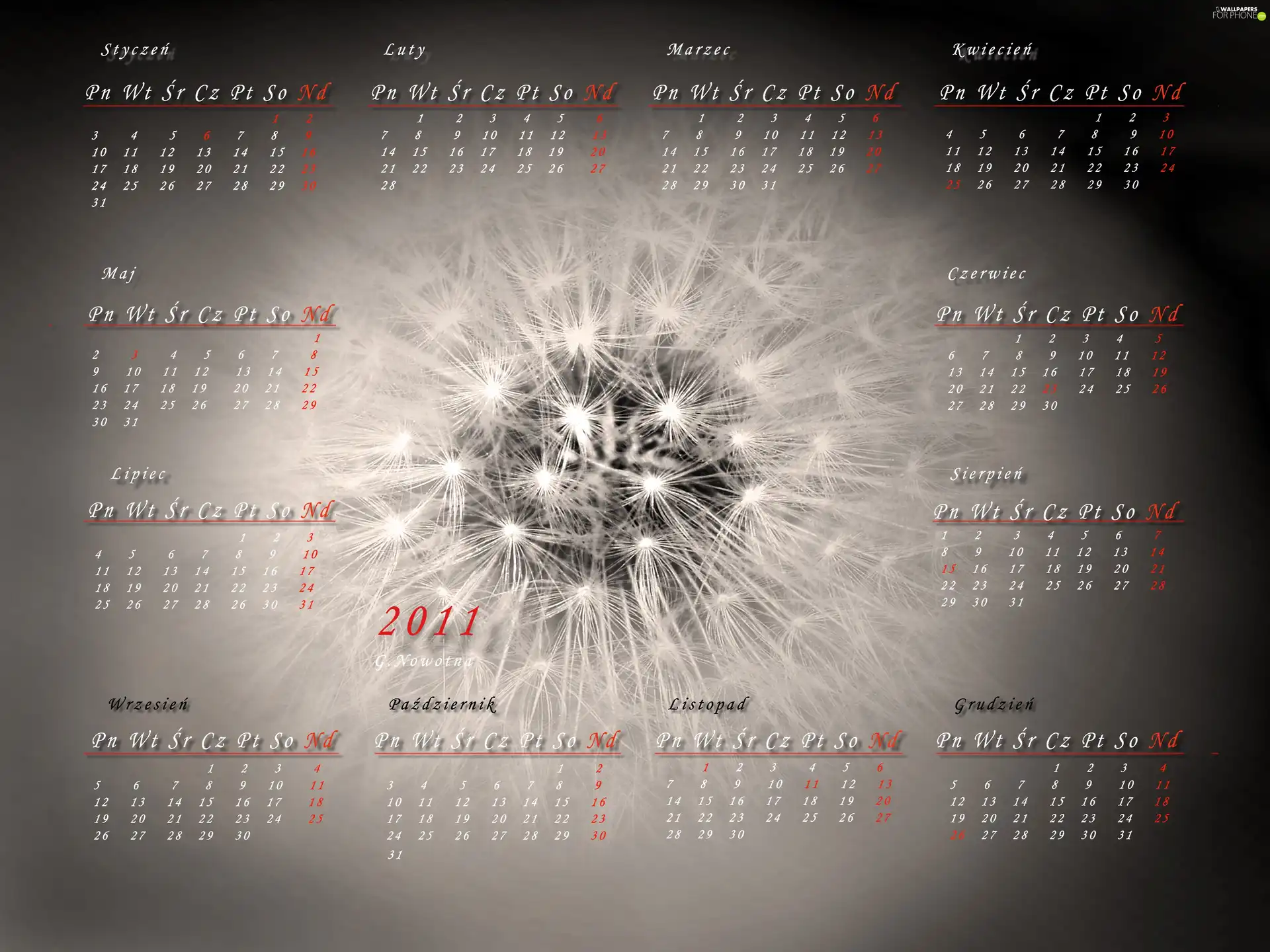 Calendar 2011, dandelion