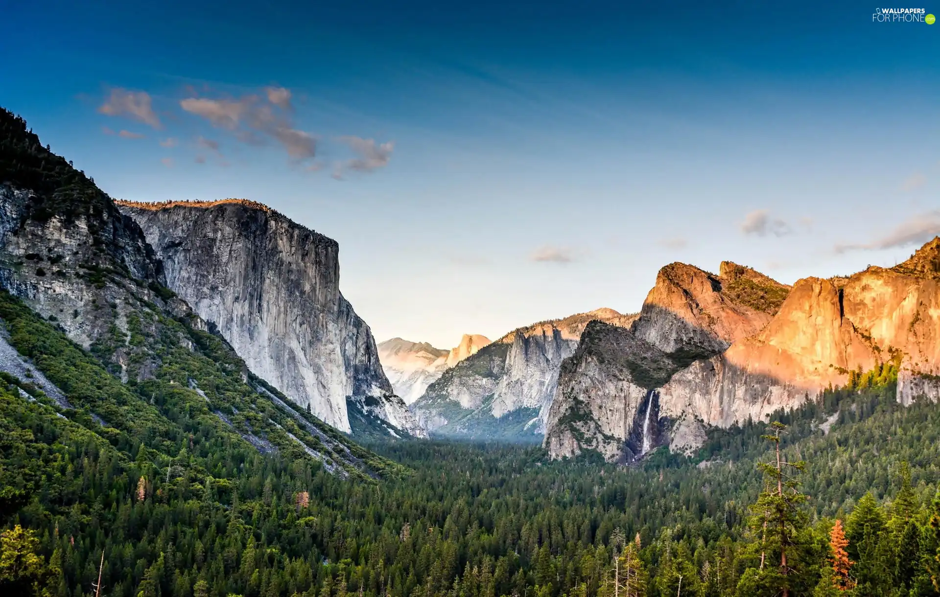 California, Mountains, woods