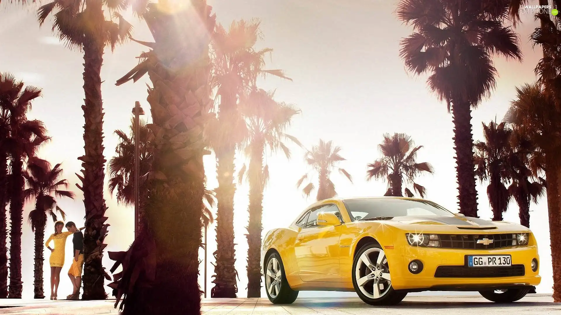Yellow, Chevrolet Camaro