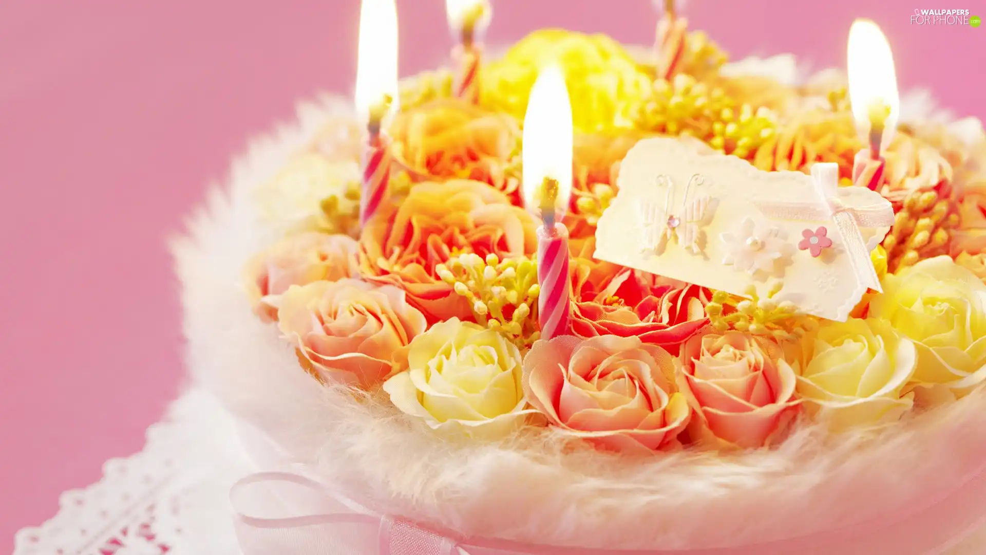 candles, Cake, roses