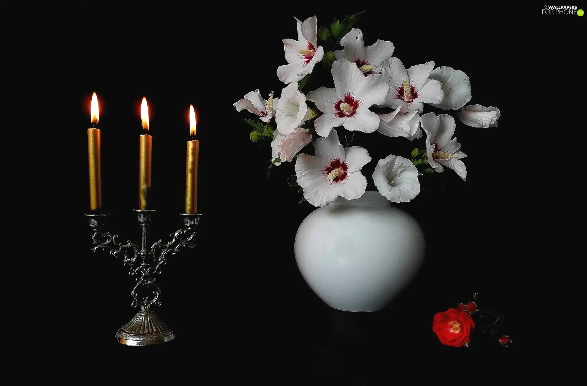 Candlestick, Flowers, bouquet