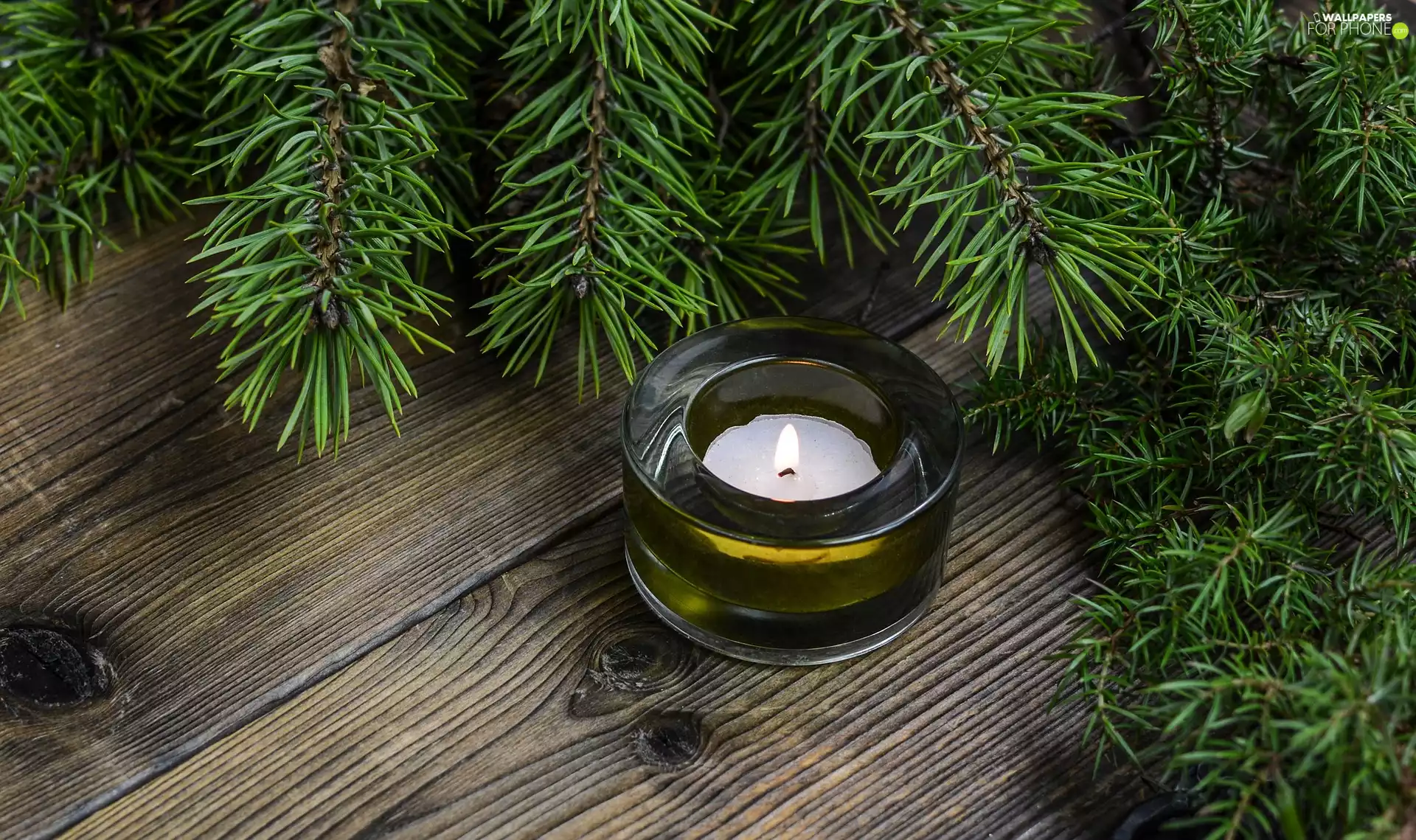 Candle, decoration, Swierk, candlestick, Christmas, Twigs, boarding