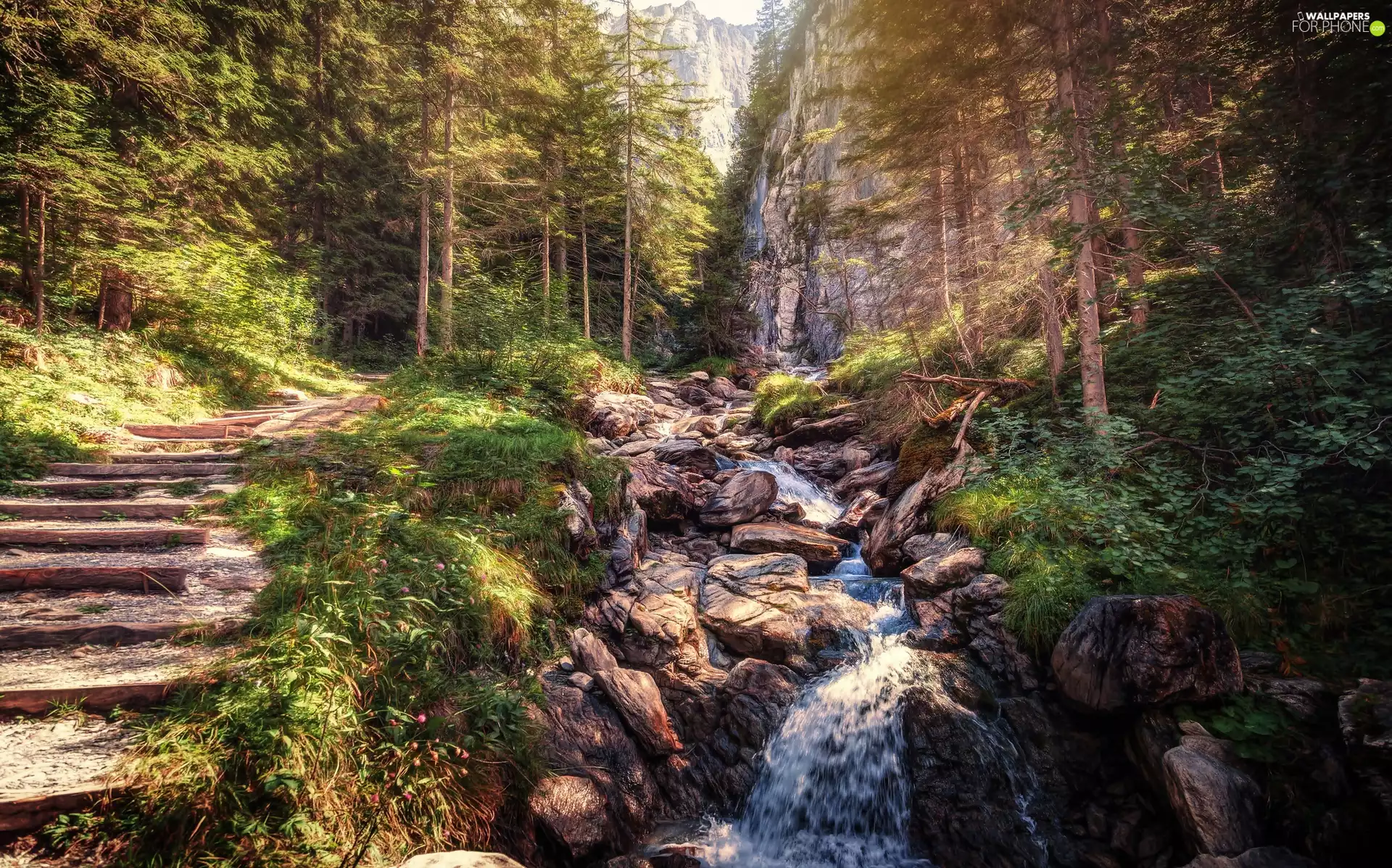 Gletscherschlucht Rosenlaui, forest, Way, Mountains, flux, Canton of Bern, Switzerland, rocks