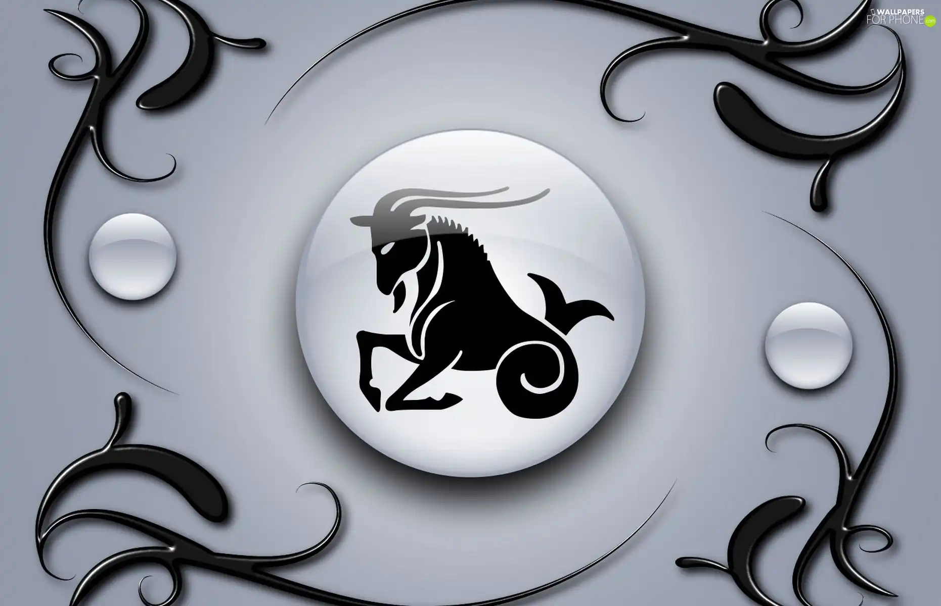 Capricorn, Sign, Zodiac