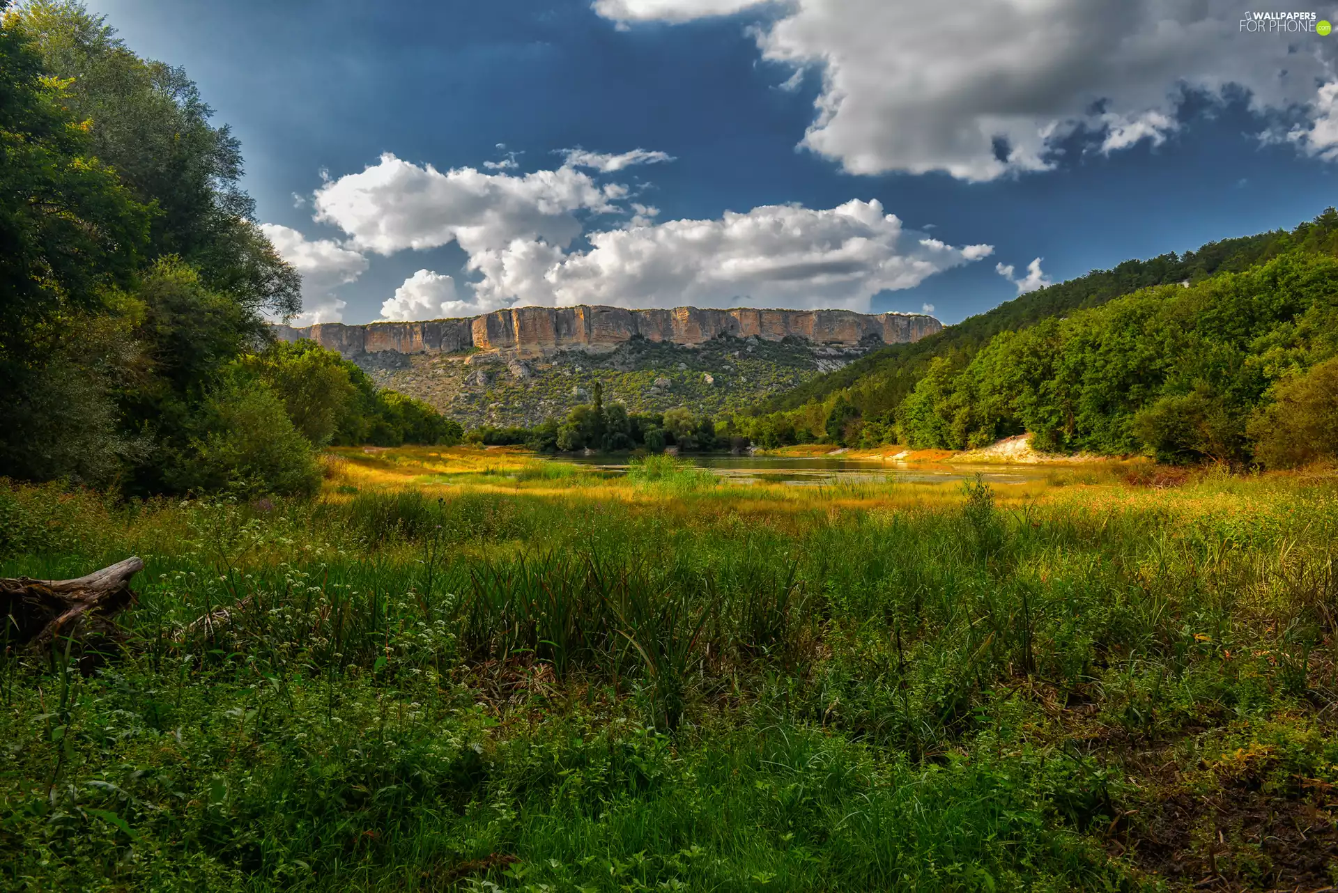 Pond - car, Mountains, VEGETATION, Meadow