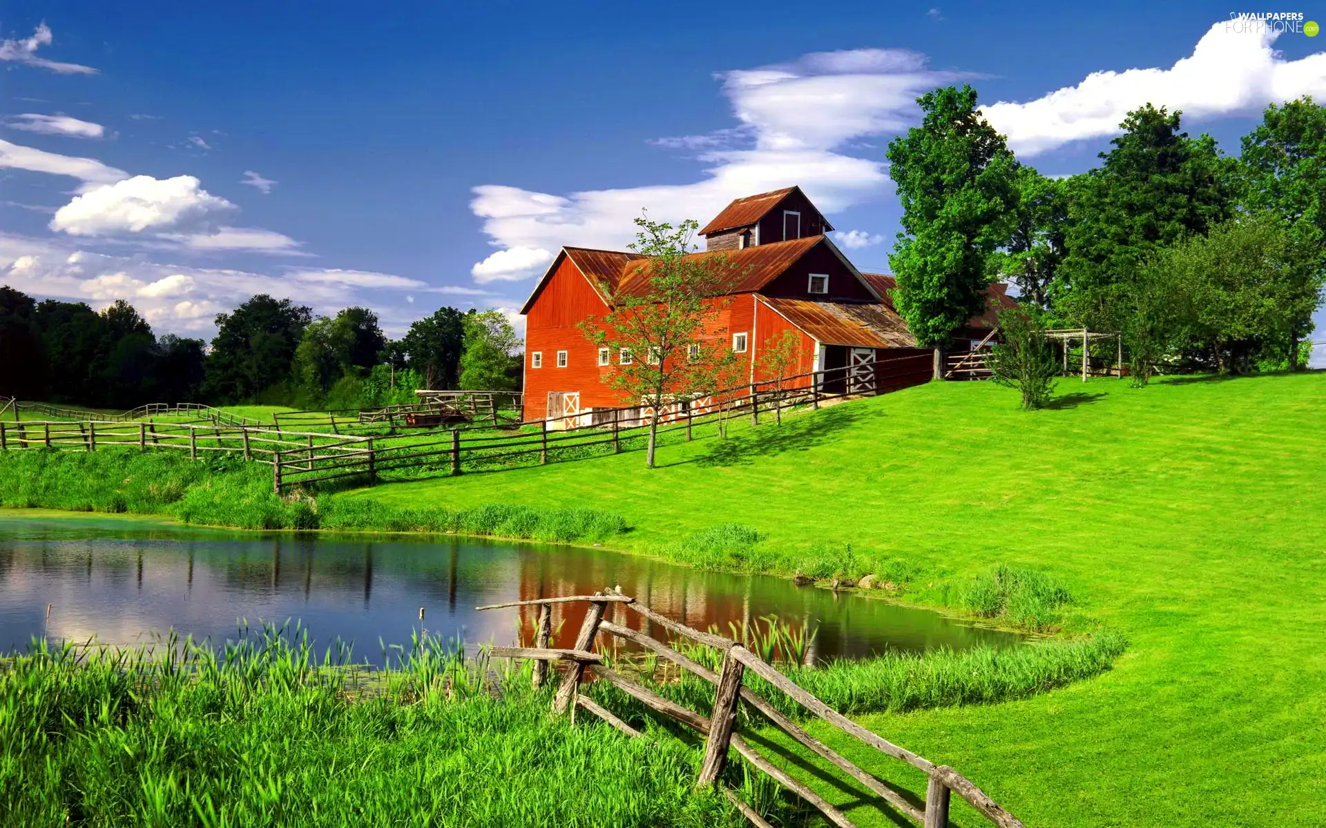 house, Pond - car