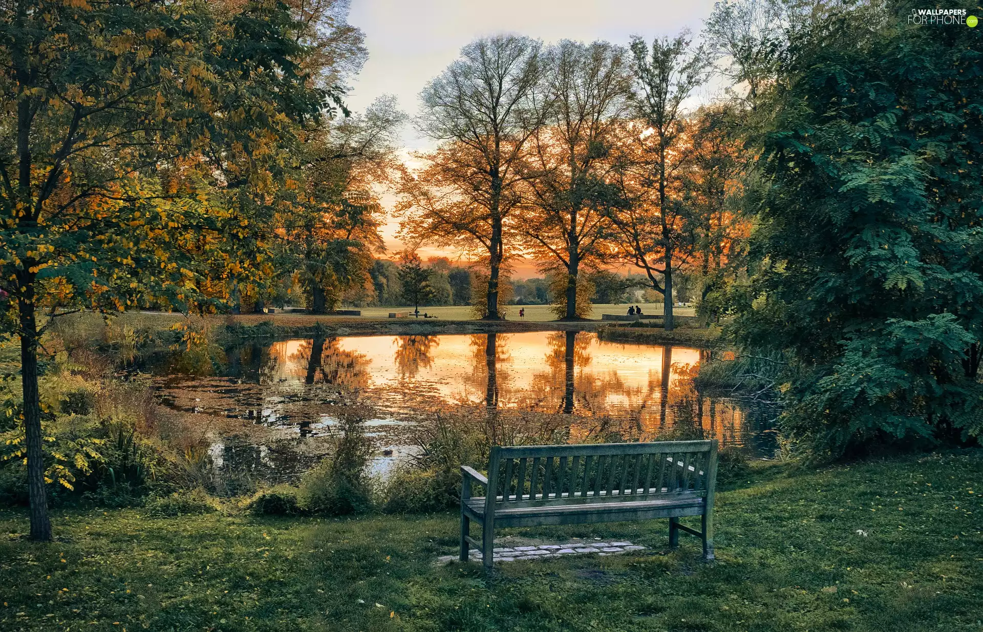 Bench, Park, viewes, Great Sunsets, trees, Pond - car