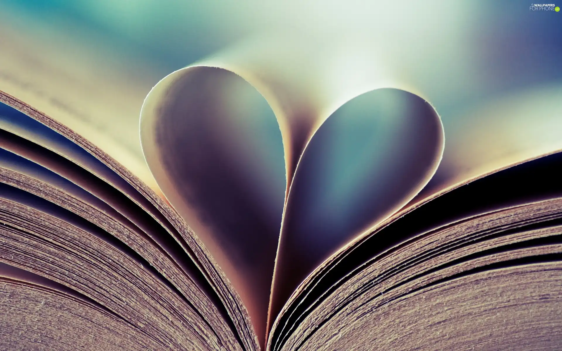 card, Book, Heart