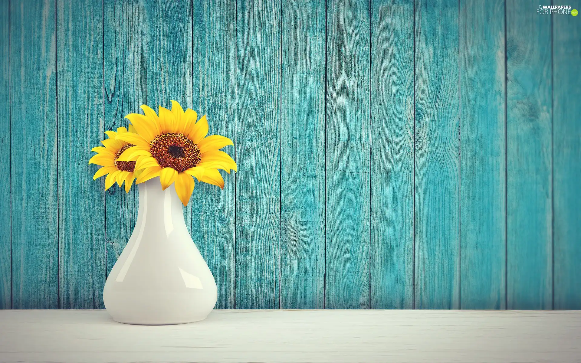 Blue, boarding, Two cars, decorative Sunflowers, vase