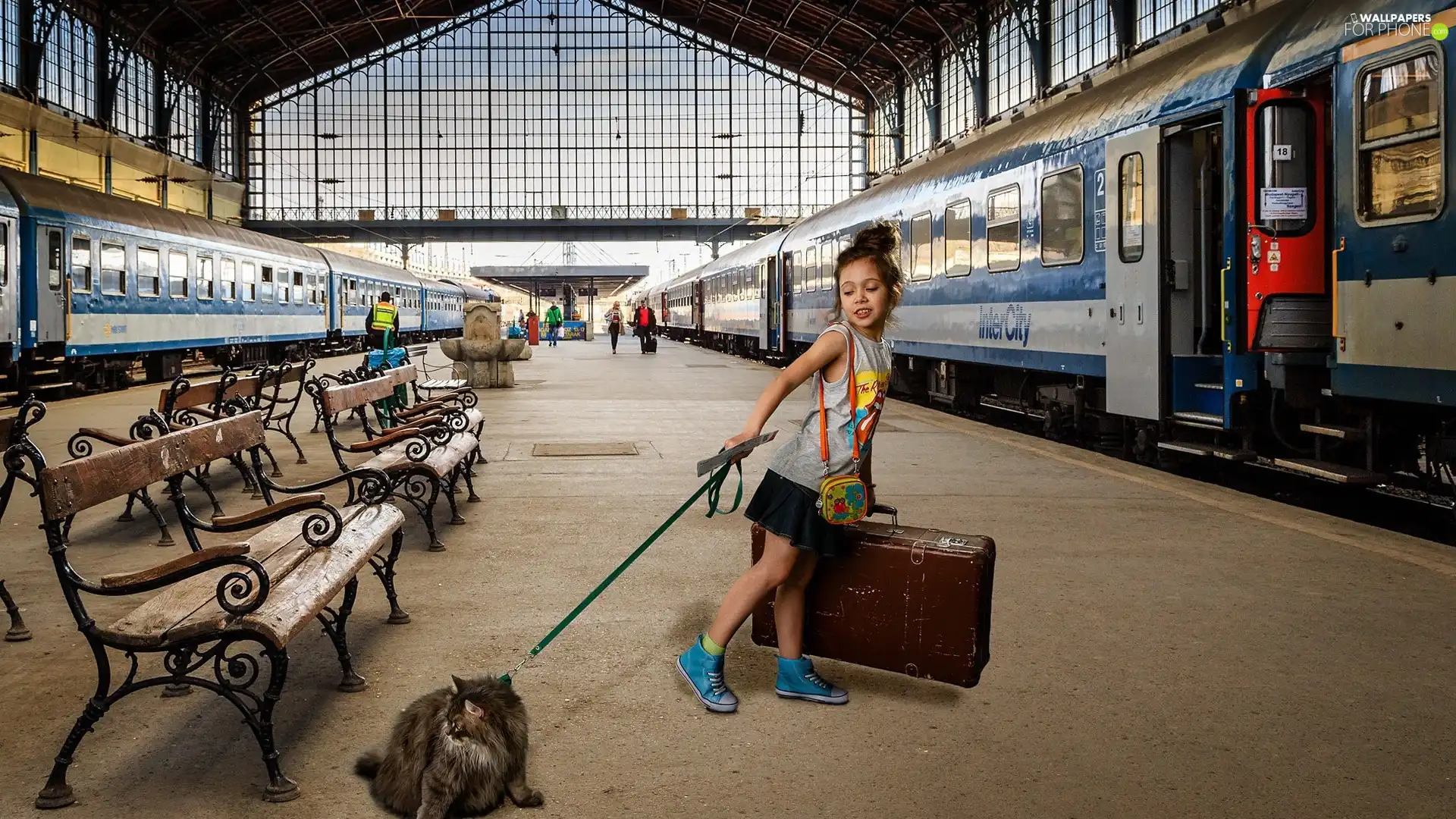 cat, platform, bench, girl, Trains, case, Leash