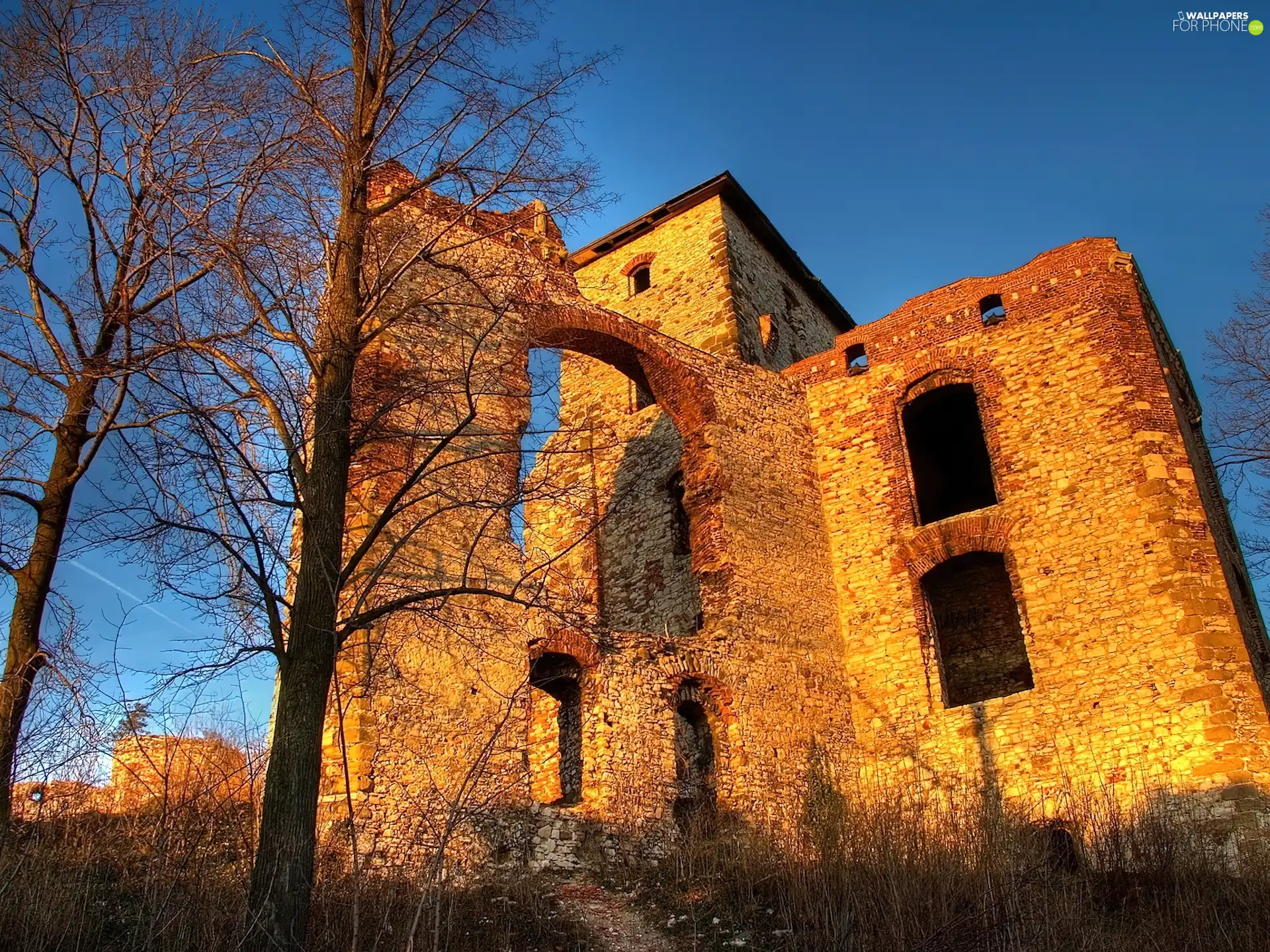 Old, ruins, castle, Buldings