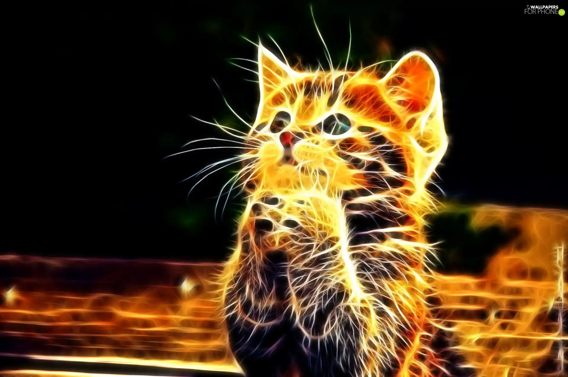 Fractalius, cat