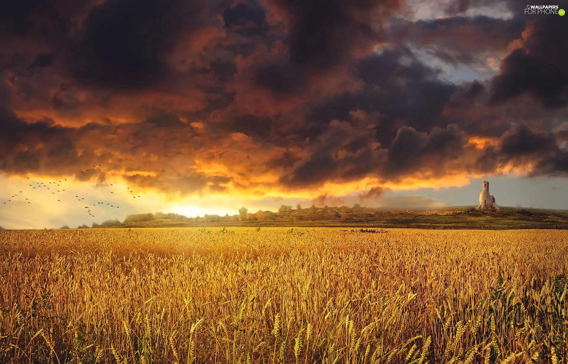 west, clouds, cereals, sun