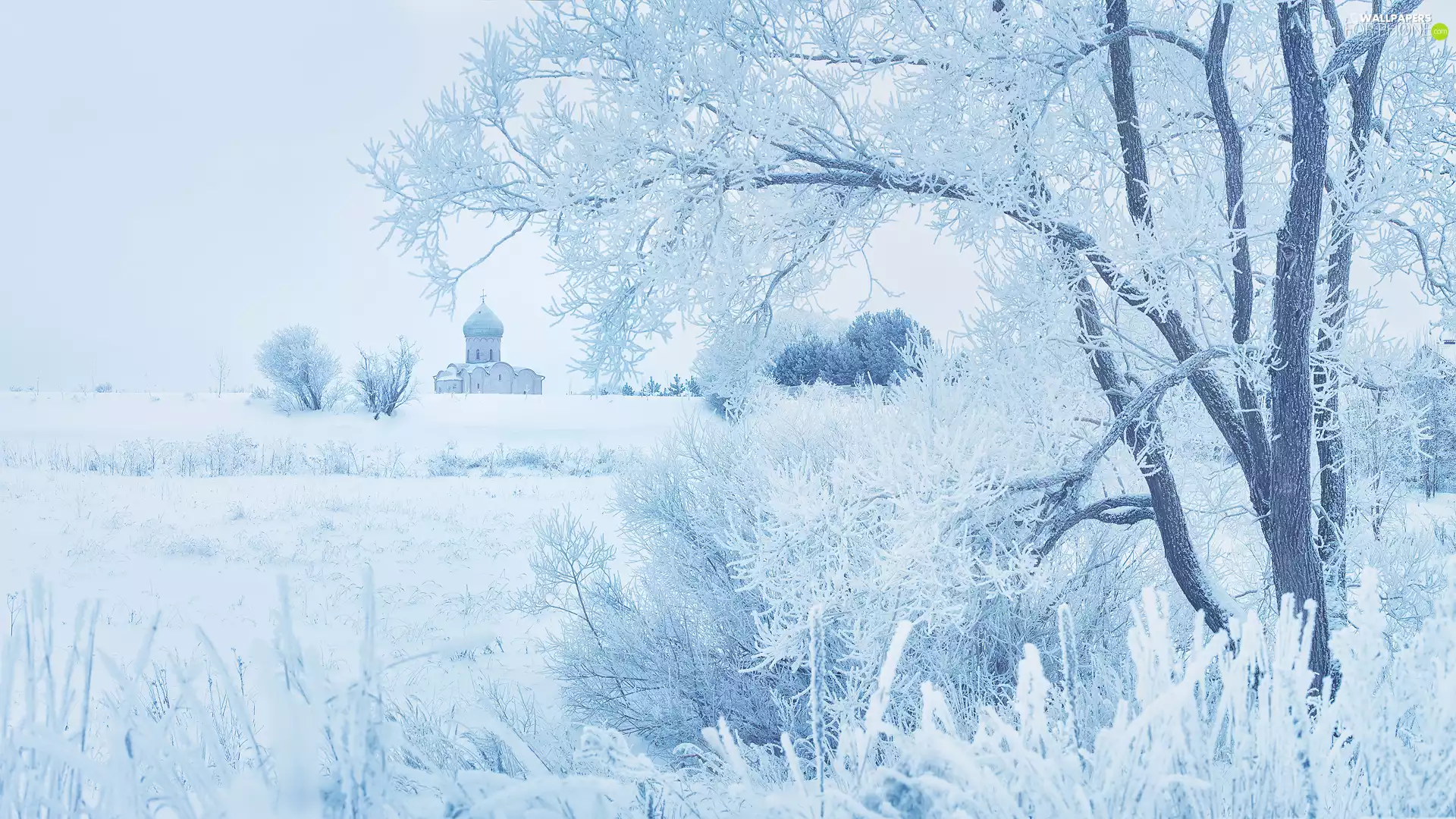 snow, trees, grass, viewes, winter, White frost, Cerkiew