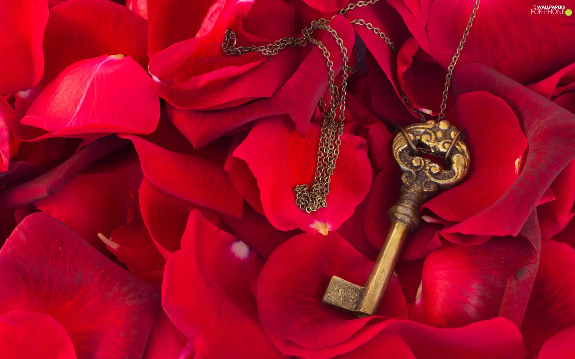 flakes, flowers, neck chain, Red, Key