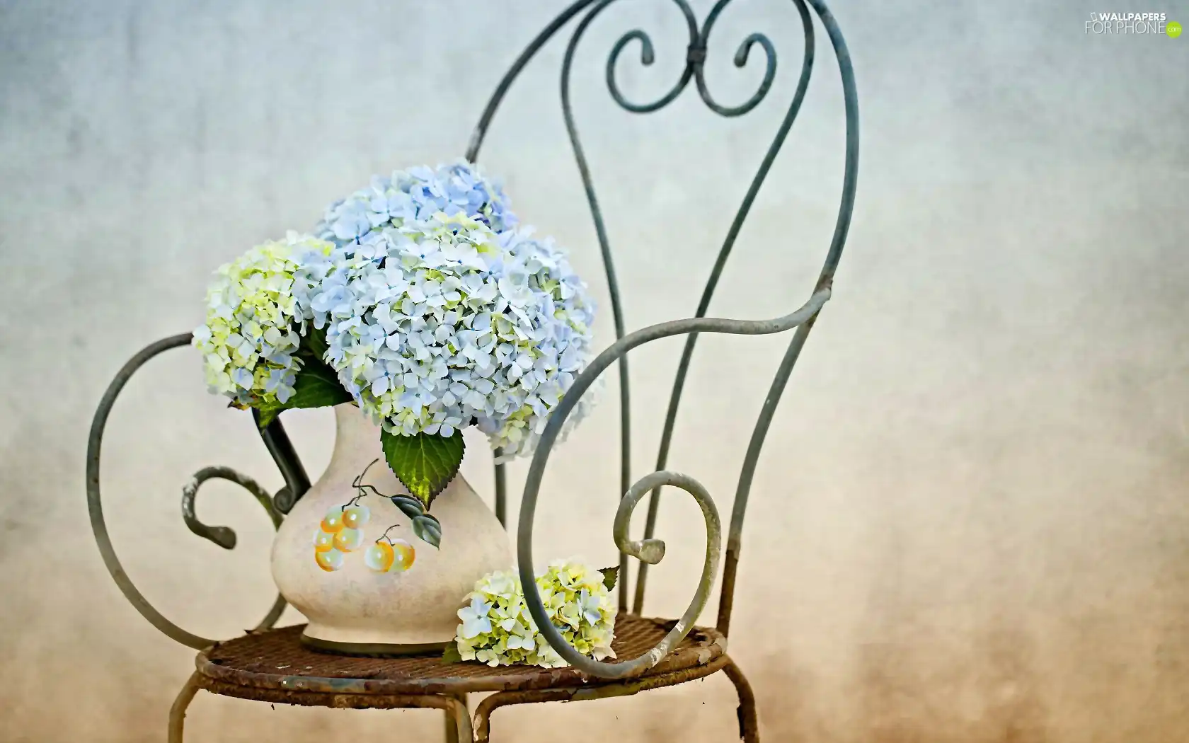 composition, Vase, Chair, hydrangeas