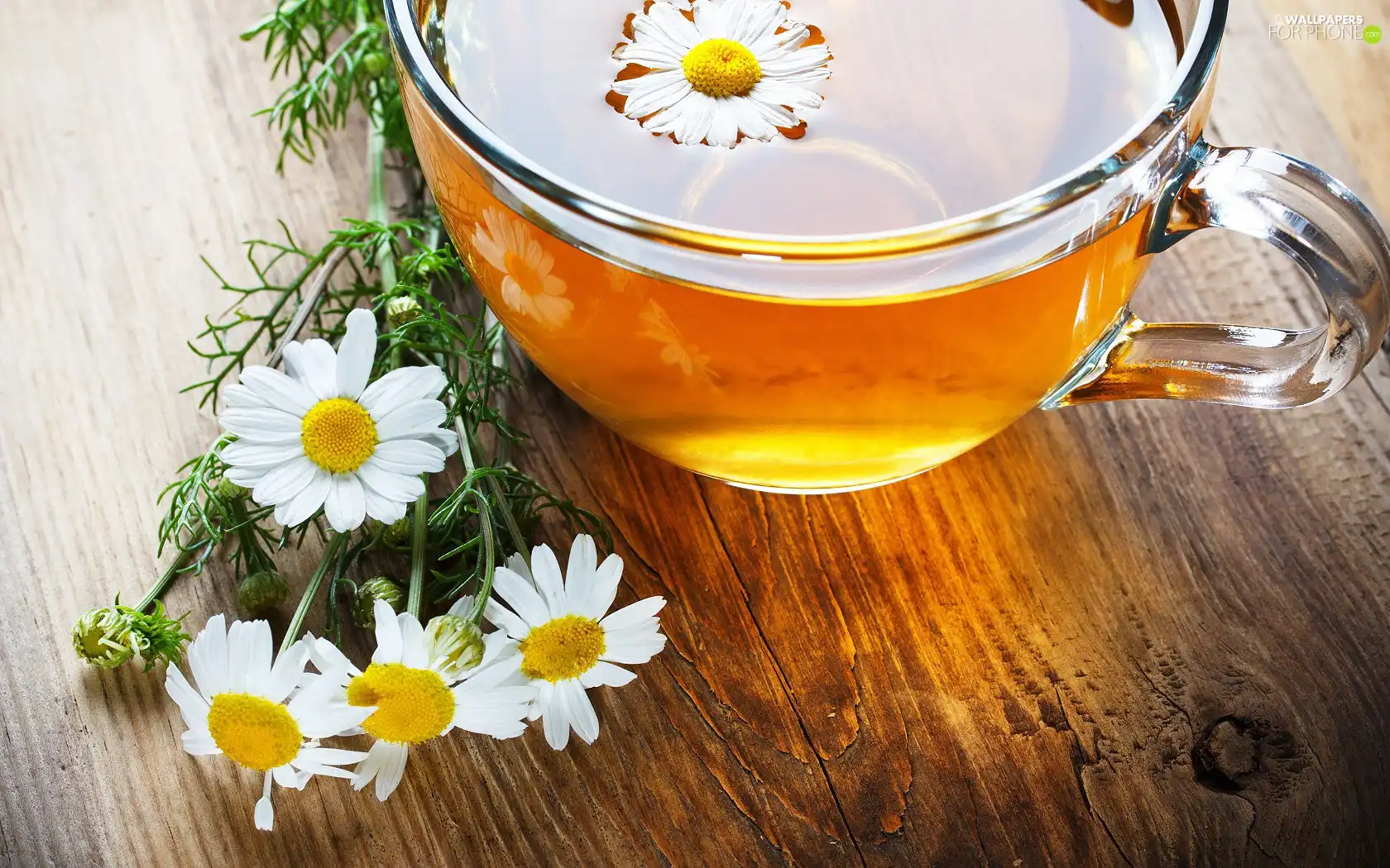 chamomile, tea, cup