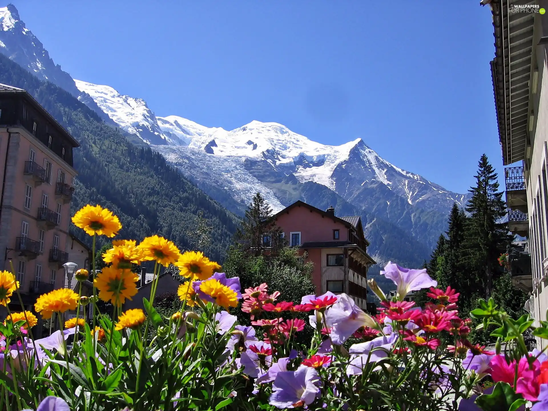 Mountains, Flowers, Chamonix, Houses