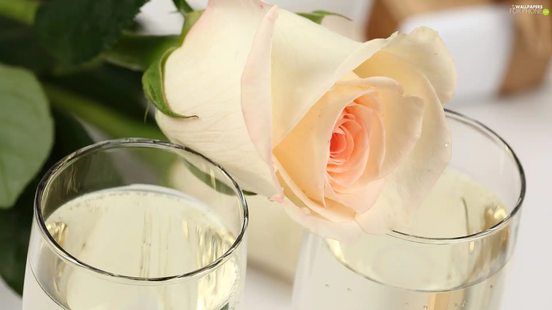 Pastel automobile, glasses, Champagne, rose