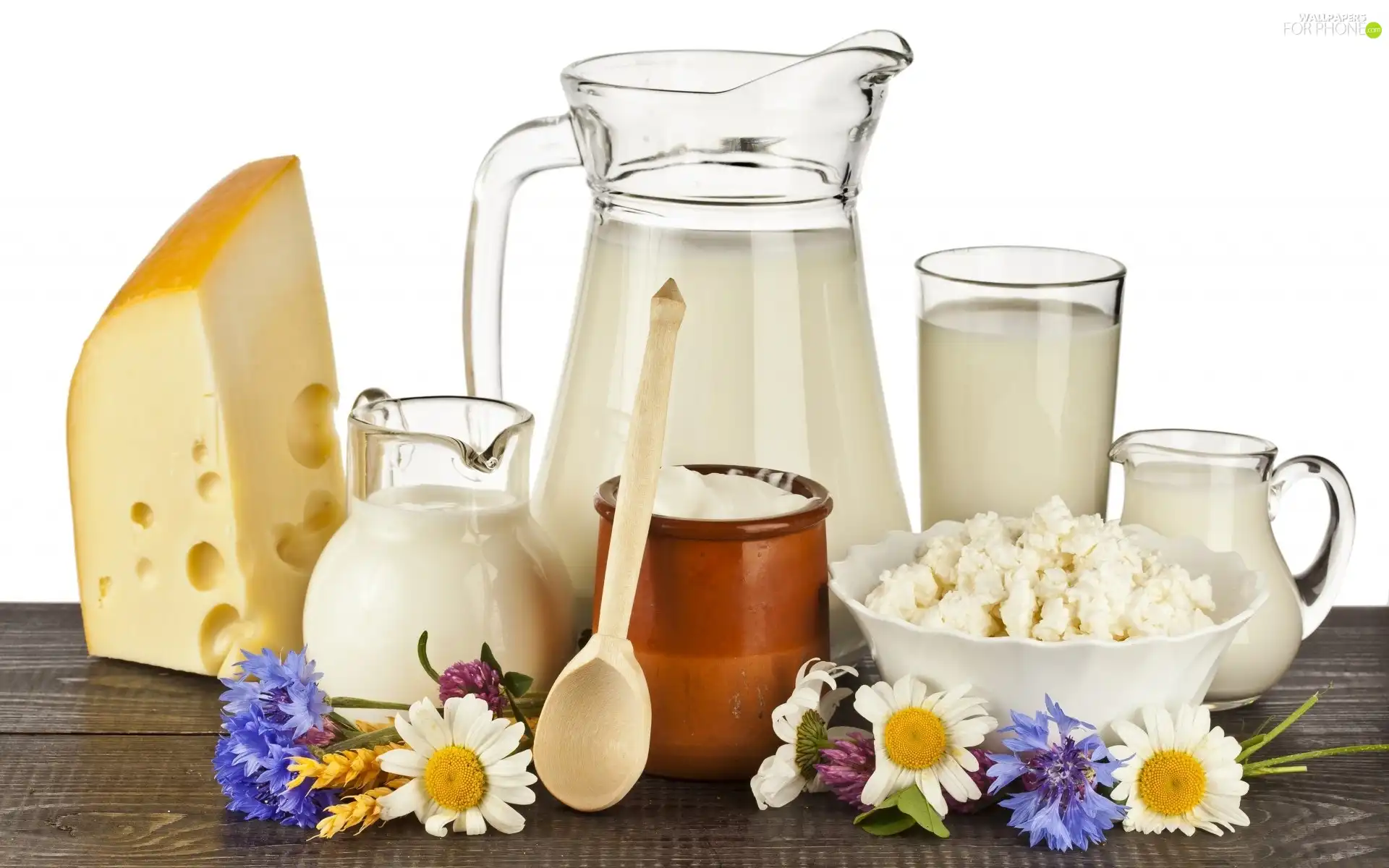 White, milk, Yellow, cheese, dairy, cheese, Flowers
