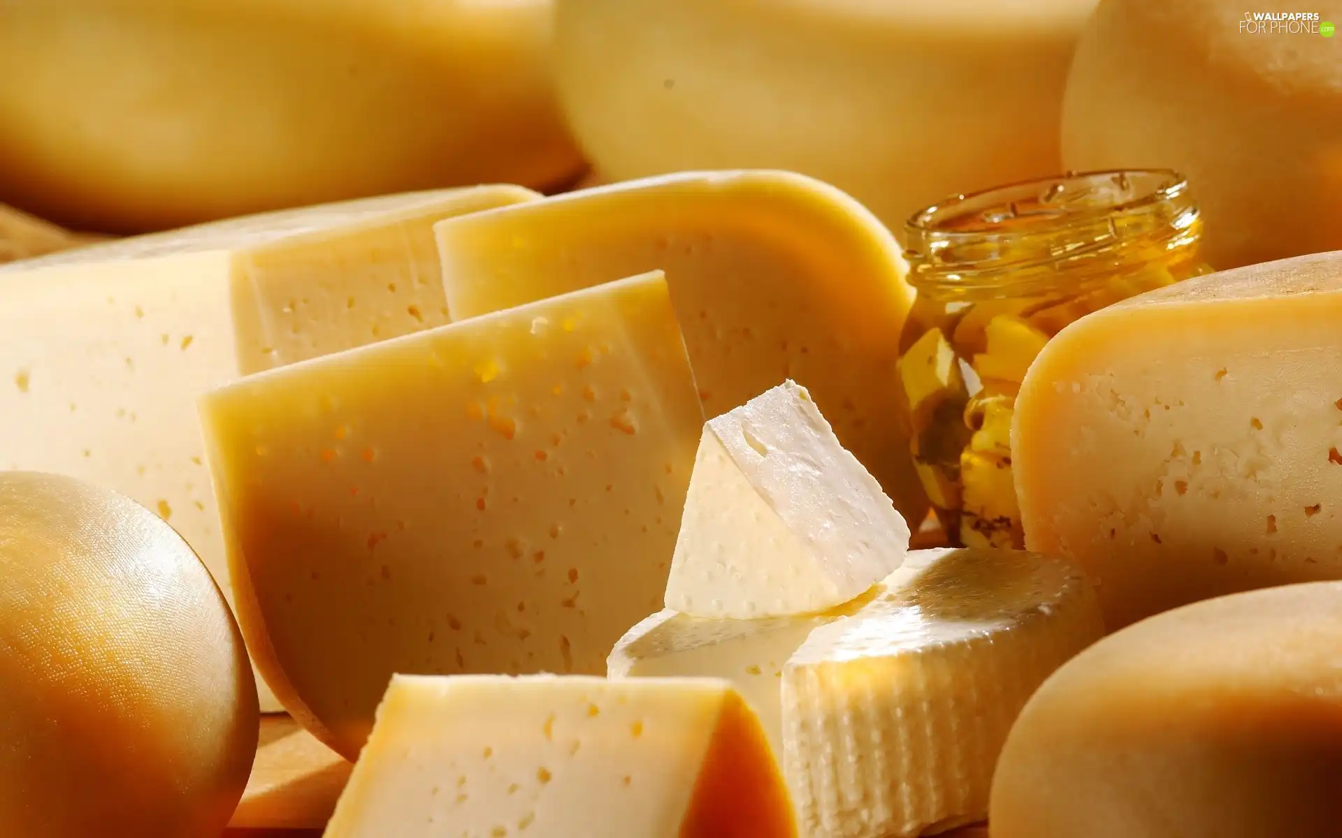 cheeses, different, Species