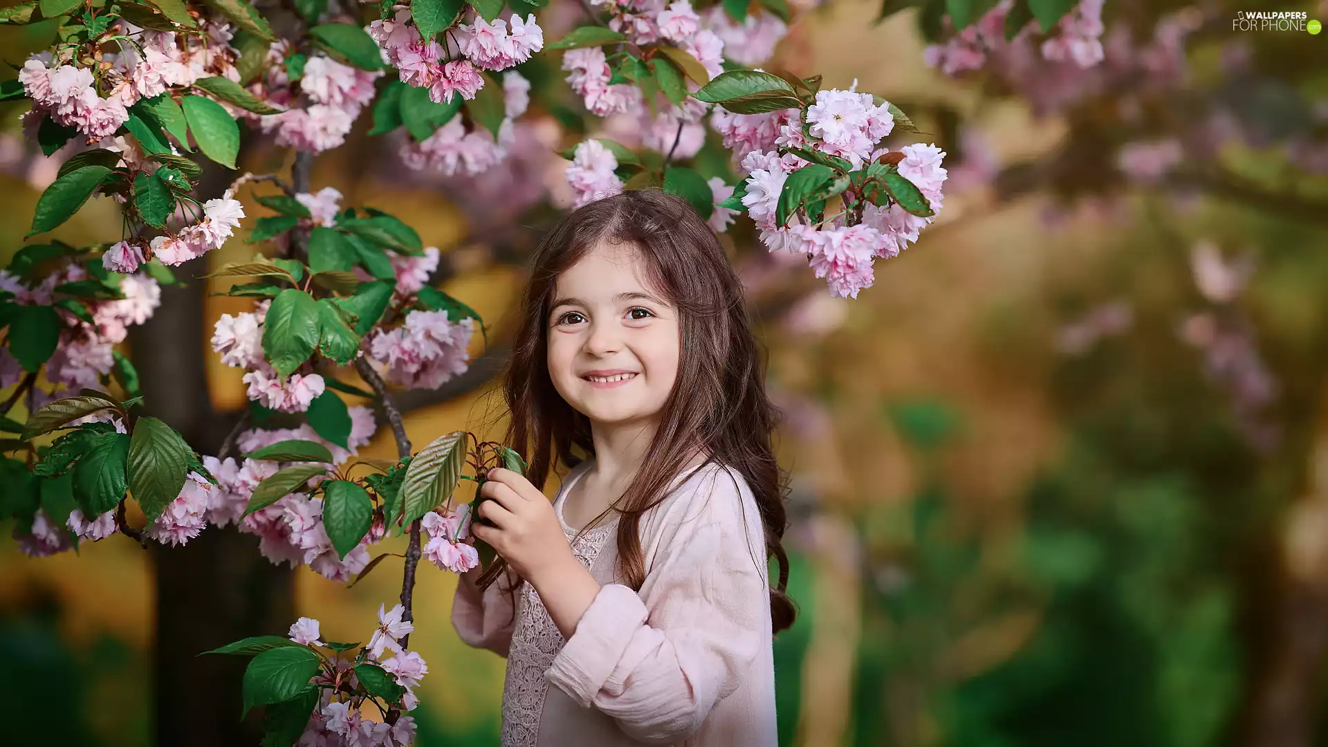 trees, cherry, girl, flourishing, smiling